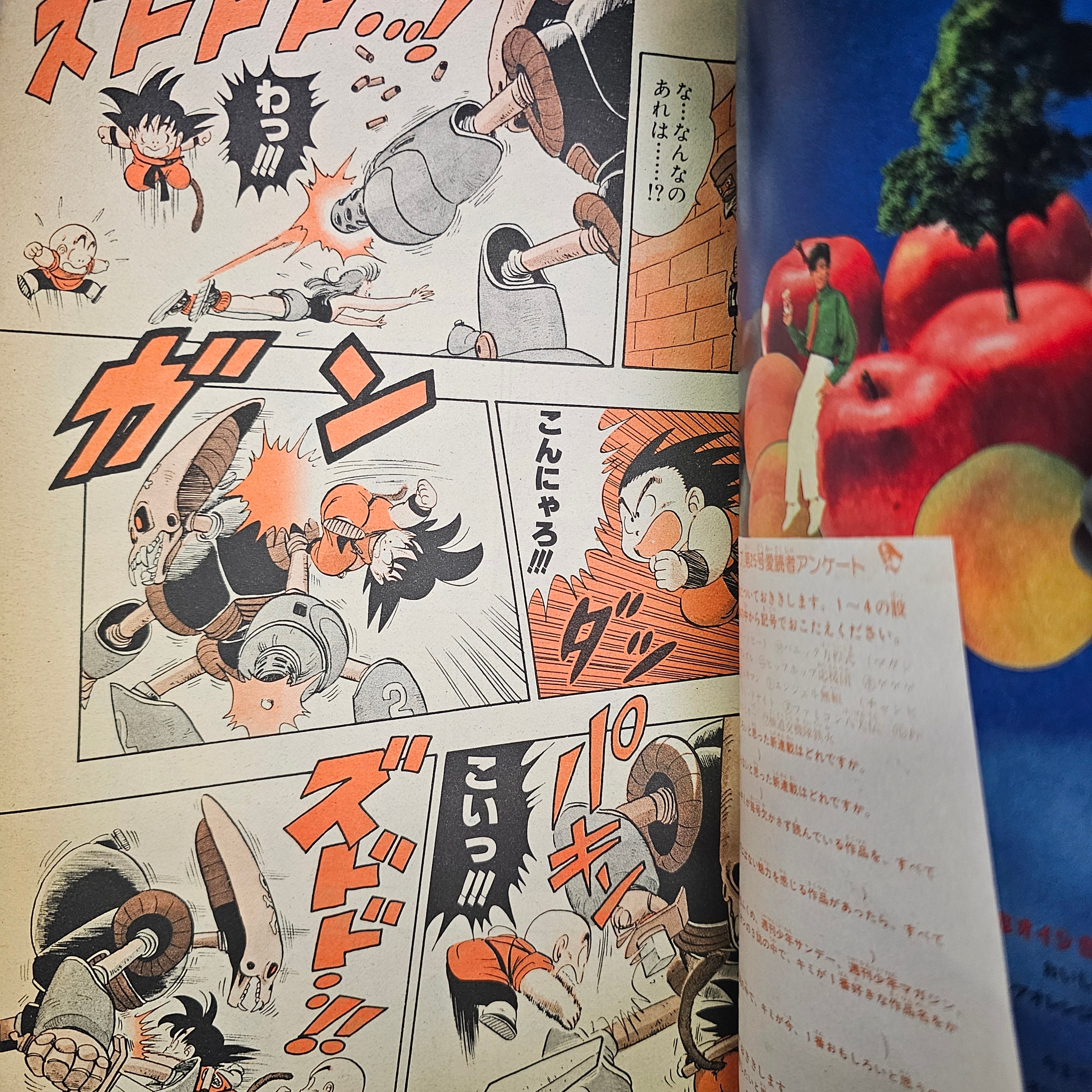 Weekly Shonen Jump n°25 (1986)