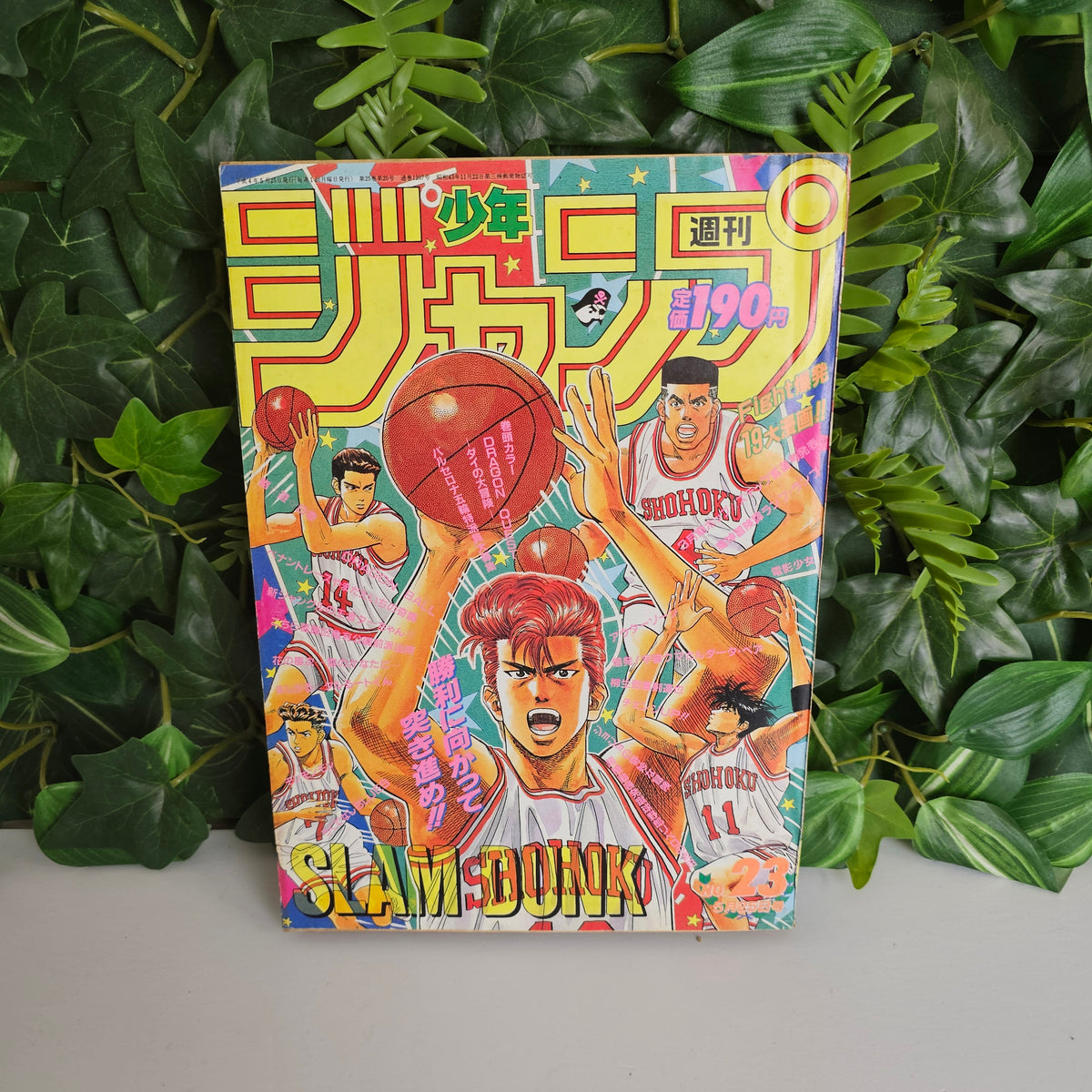 Weekly Shonen Jump n°23 (1992) (Slam Dunk)