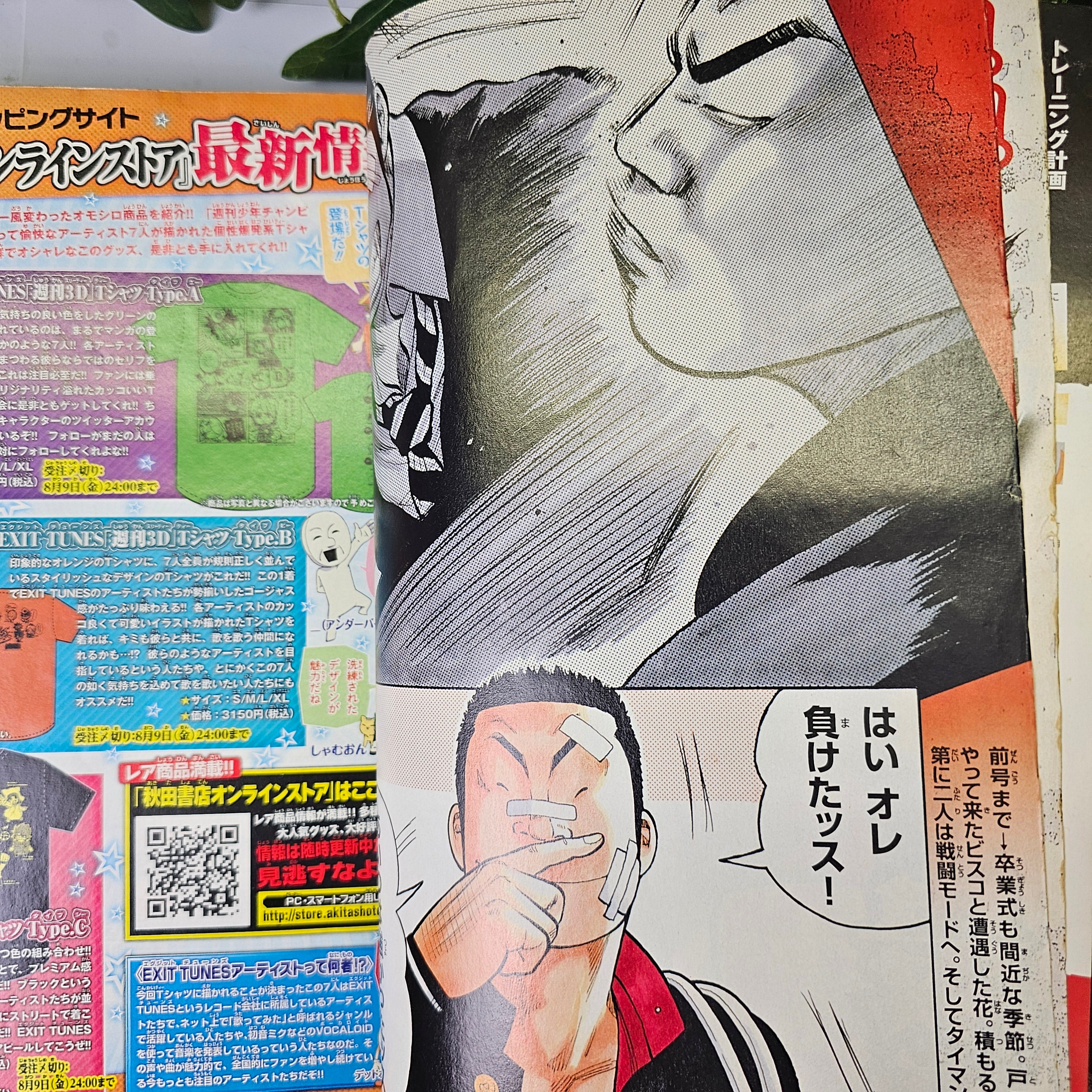 Monthly Shonen Champion n°8 (2013)