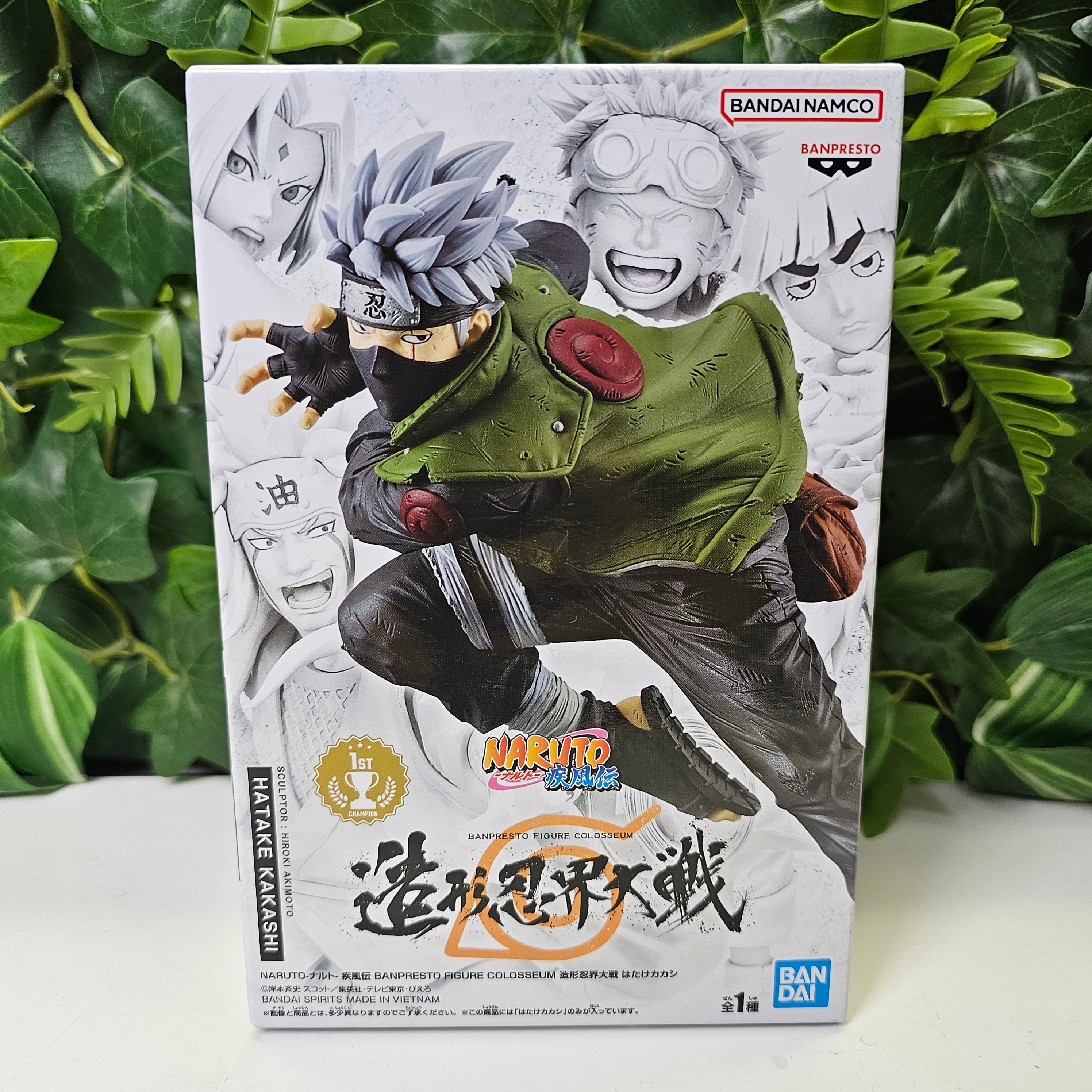 Kakashi Hatake Colosseum