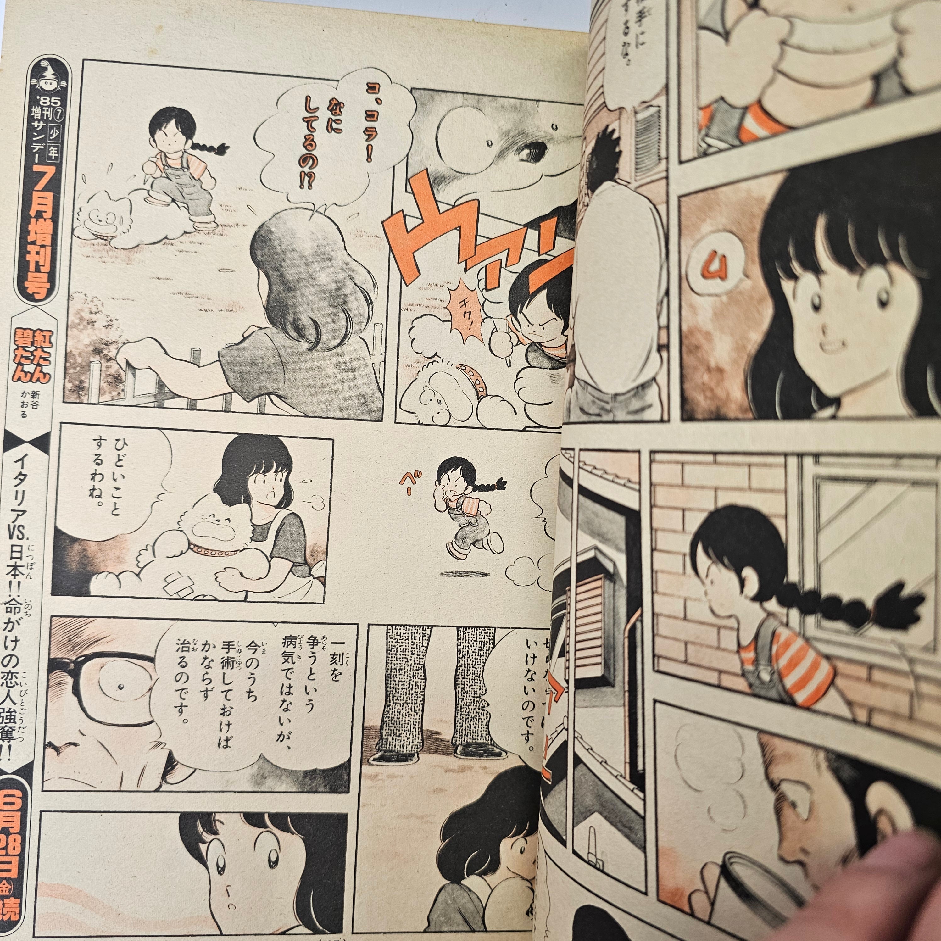 Weekly Shonen Sunday n°29 (1985)