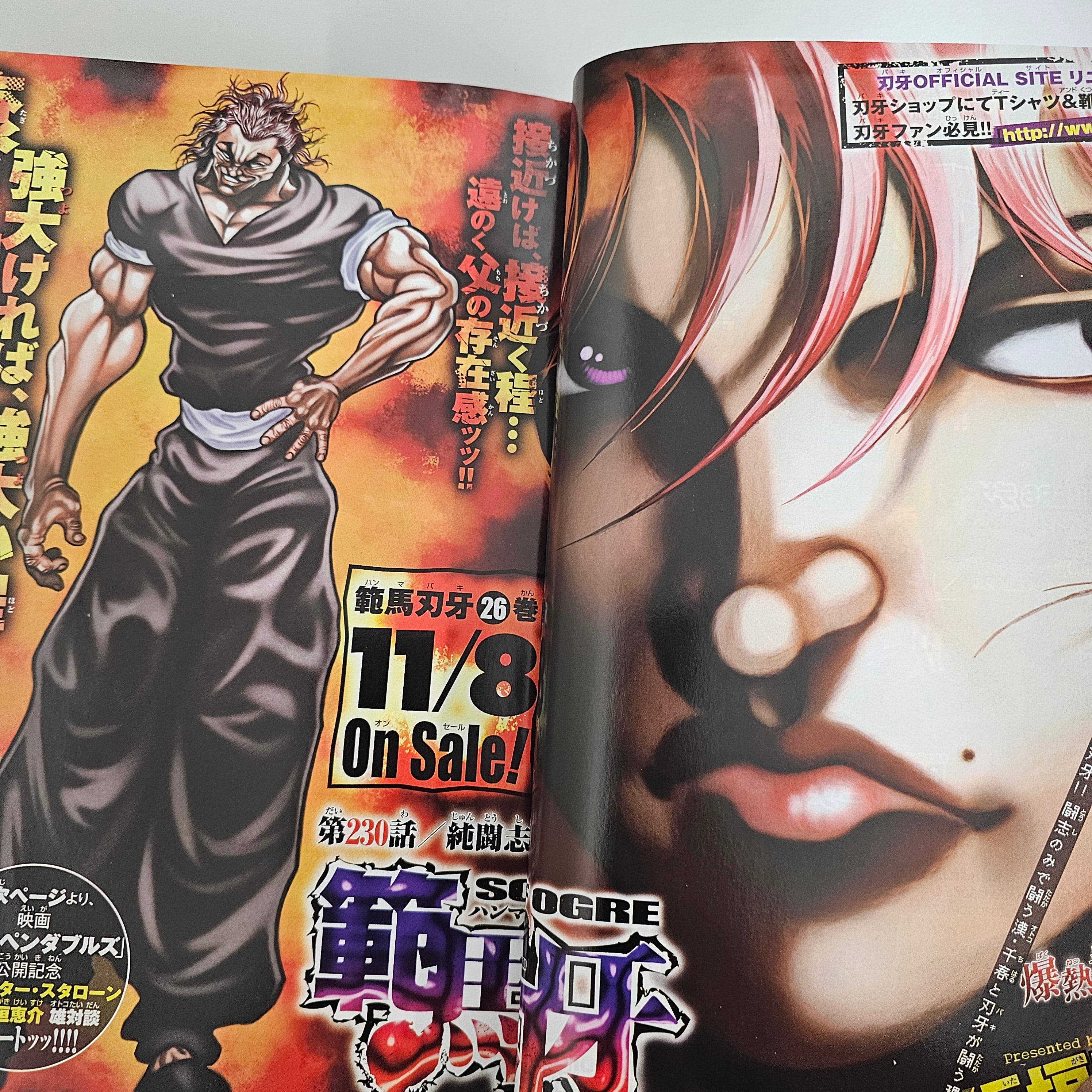 Weekly Shonen Champion n°48 (2010) (Baki)