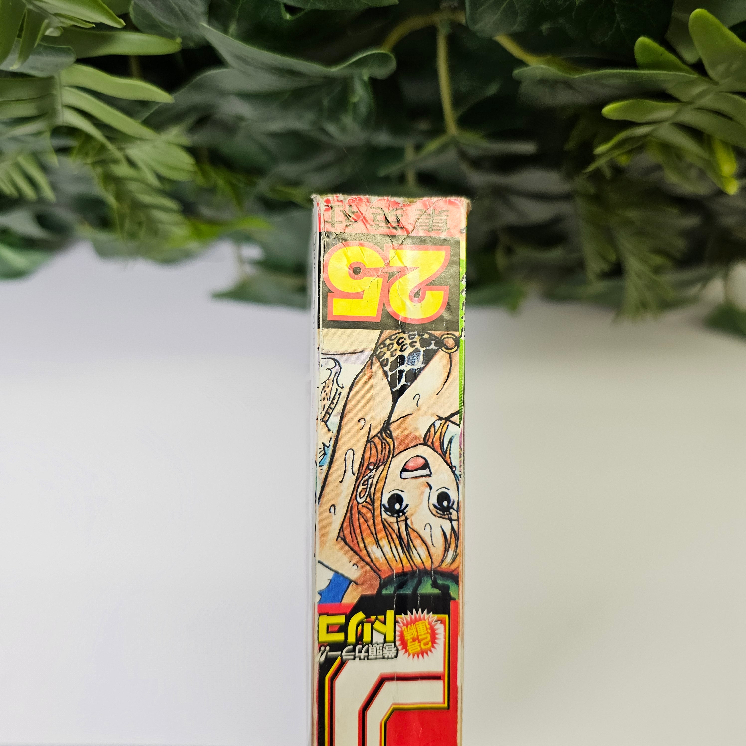 Weekly Shonen Jump n°25 (2008) PREMIER CHAPITRE