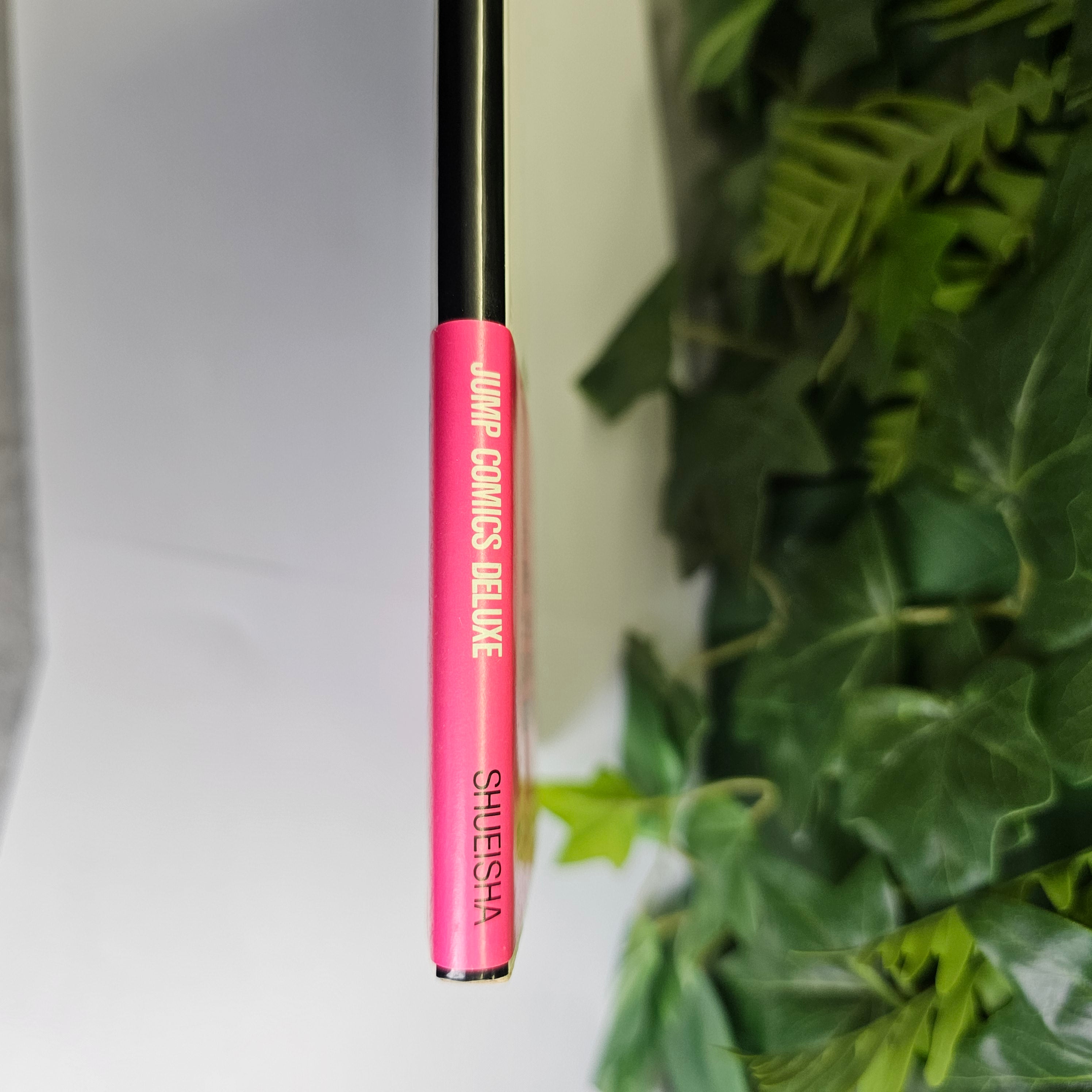 Artbook - City Hunter