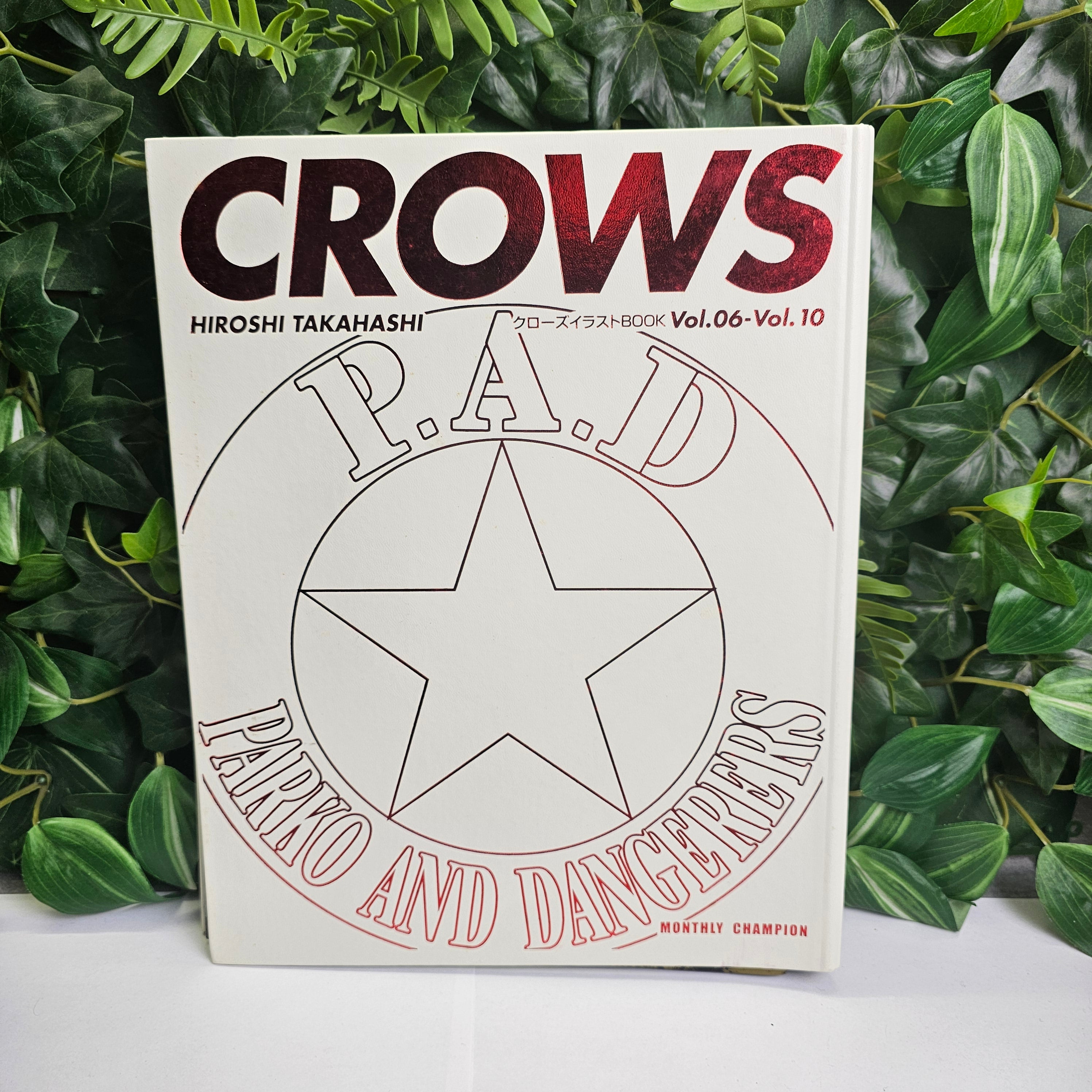 Classeur artbooks CROWS 6 à 10