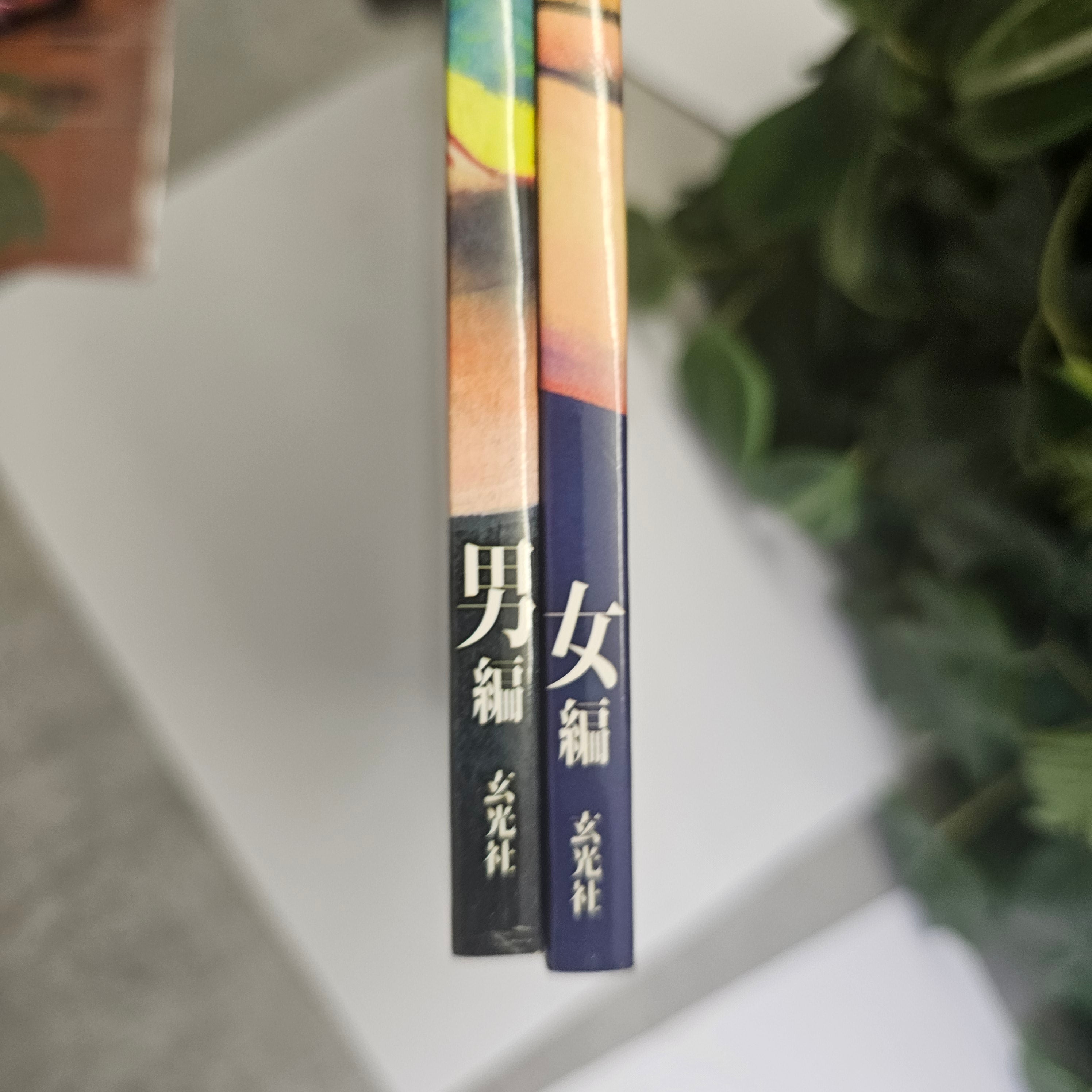 Ryoichi Ikegami Art Works - Japanese Wild and Beauty