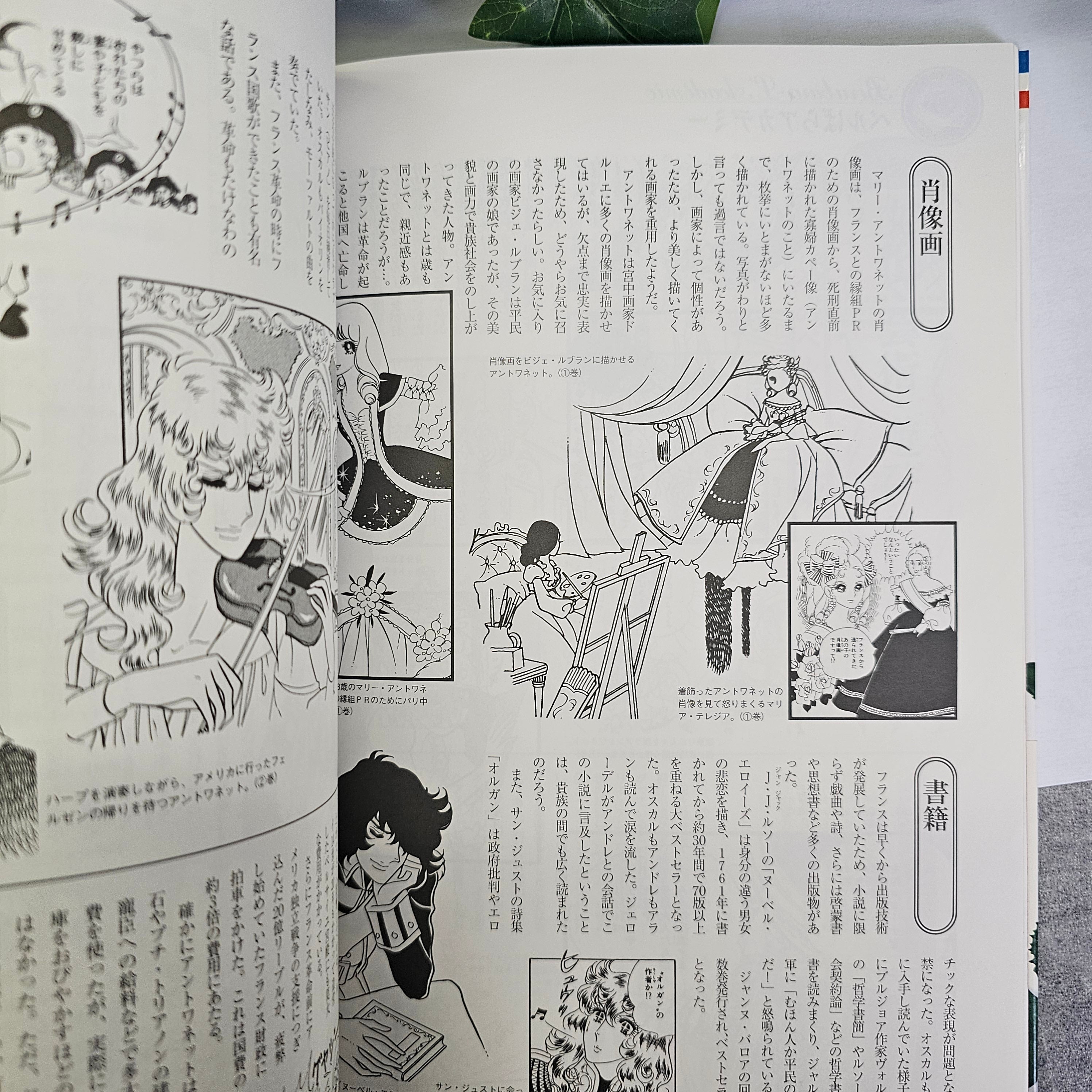 La rose de Versailles - Commémoration 30 ans encyclopédie