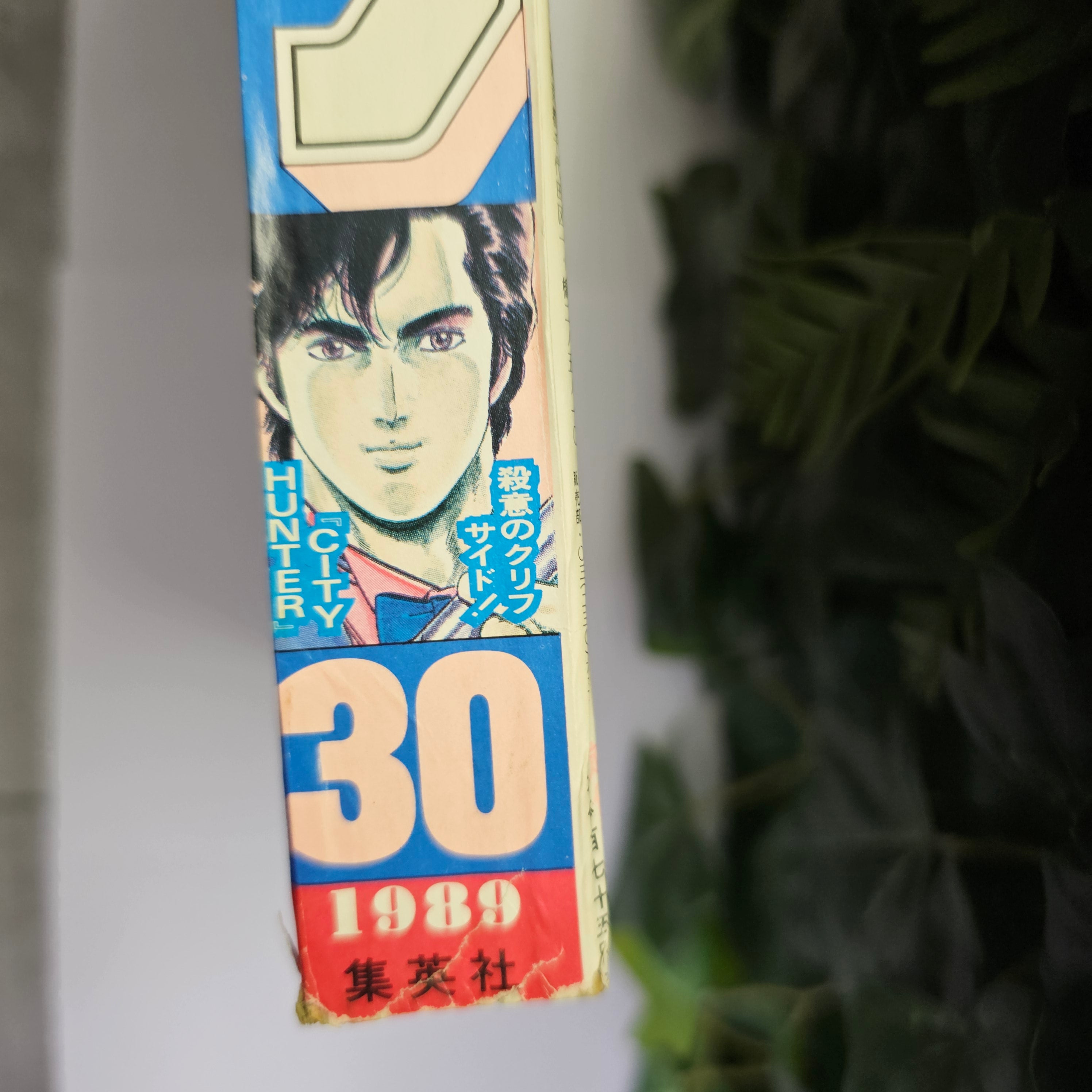 Weekly Shonen Jump n°30 (1989)