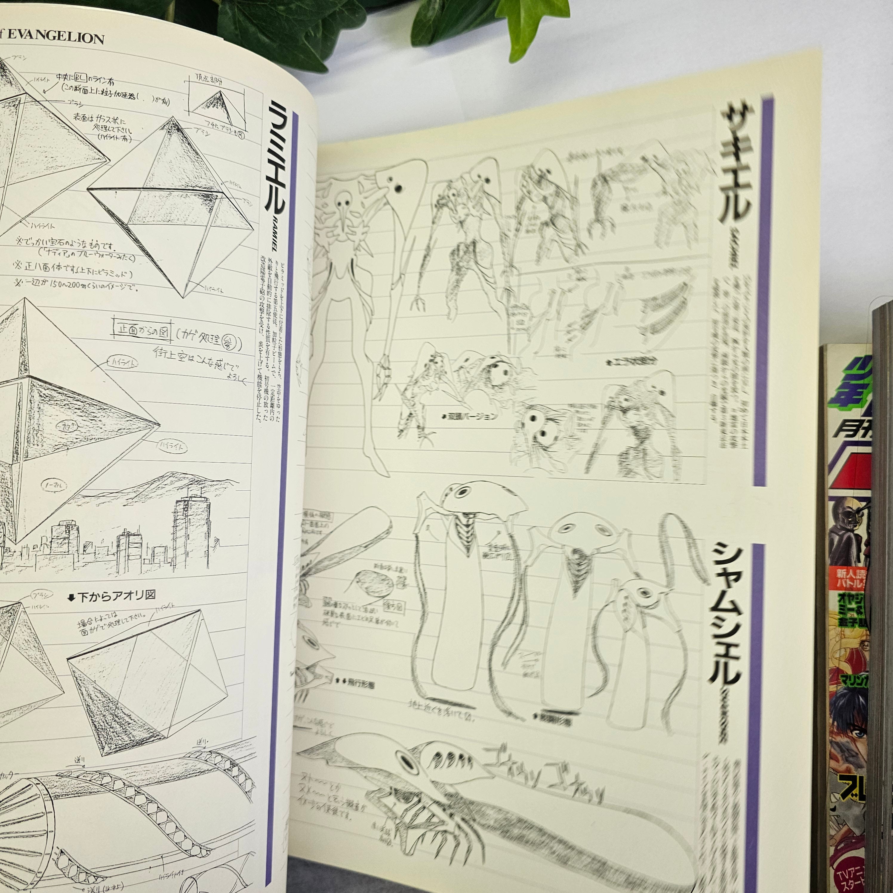 Evangelion - NEWTYPE artbook
