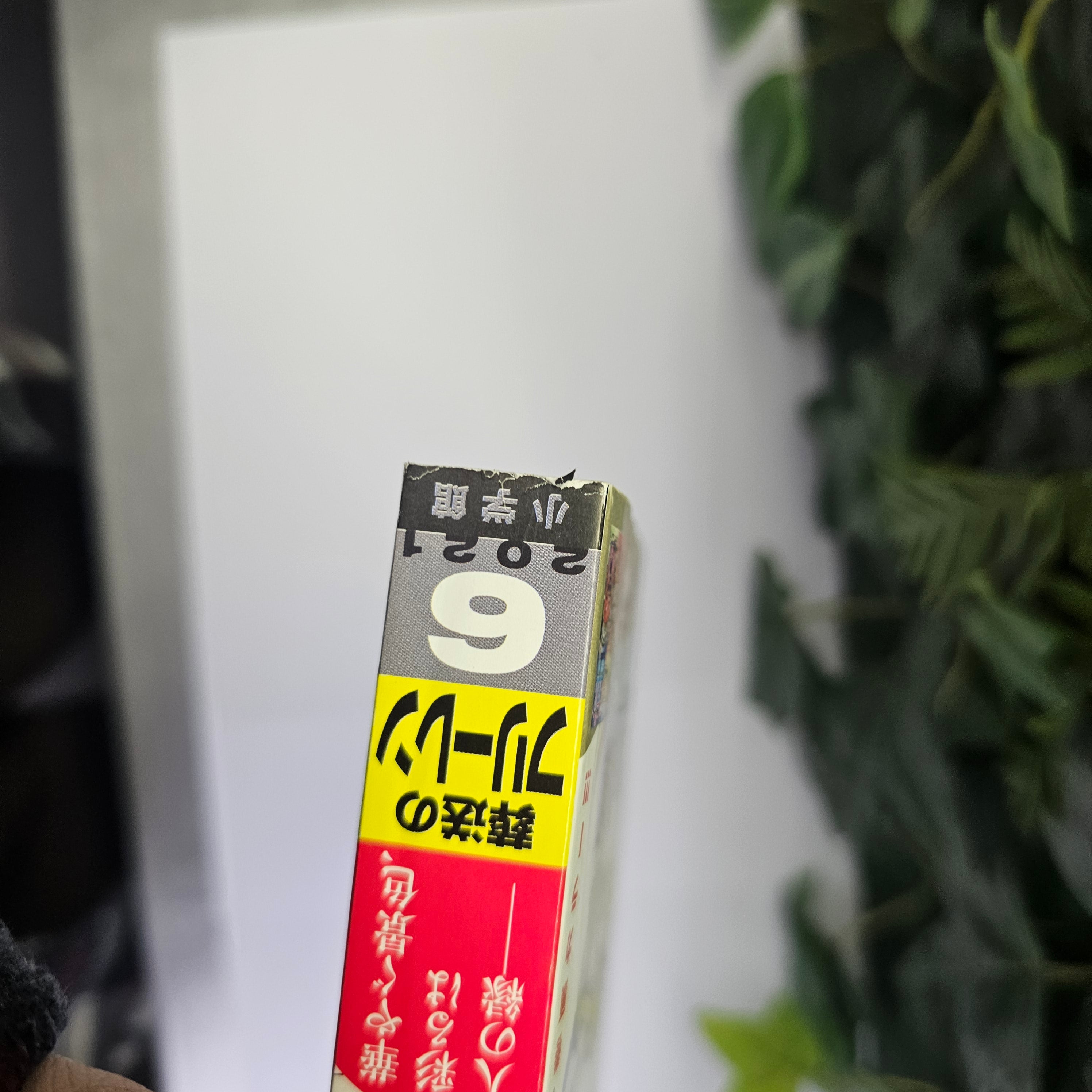 Weekly Shonen Sunday n°6 (2021)