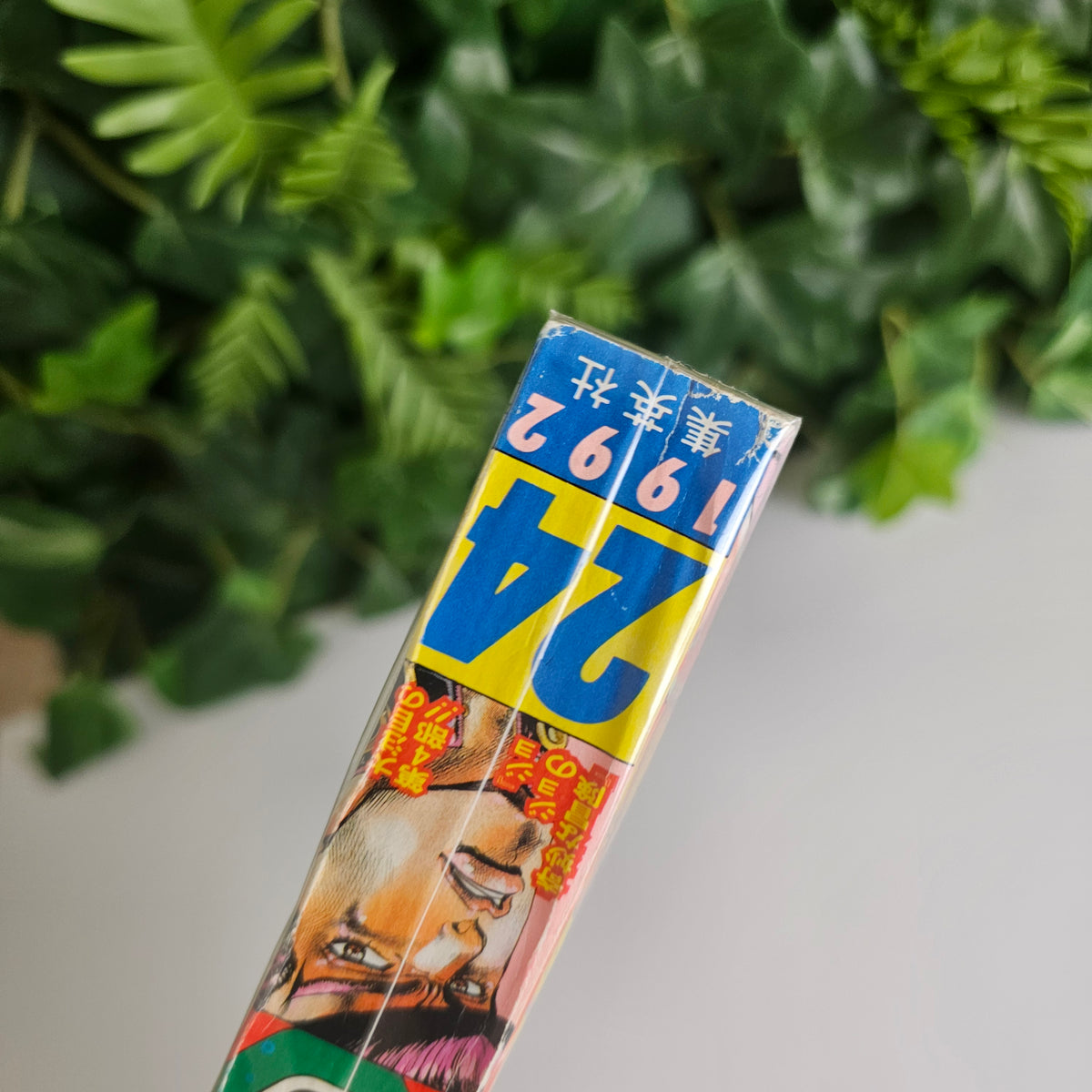 Weekly Shonen Jump n°24 (1992) (JoJo's Bizarre Adventure)