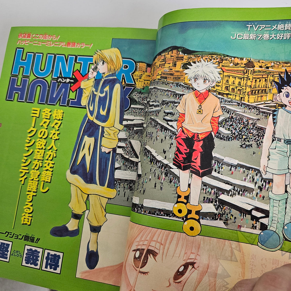Weekly Shonen Jump n°5-6 (2000) (One Piece)