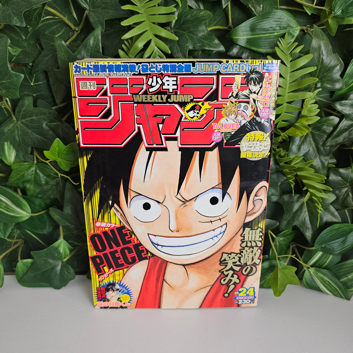 Weekly Shonen Jump n°24 (2006) (One Piece)