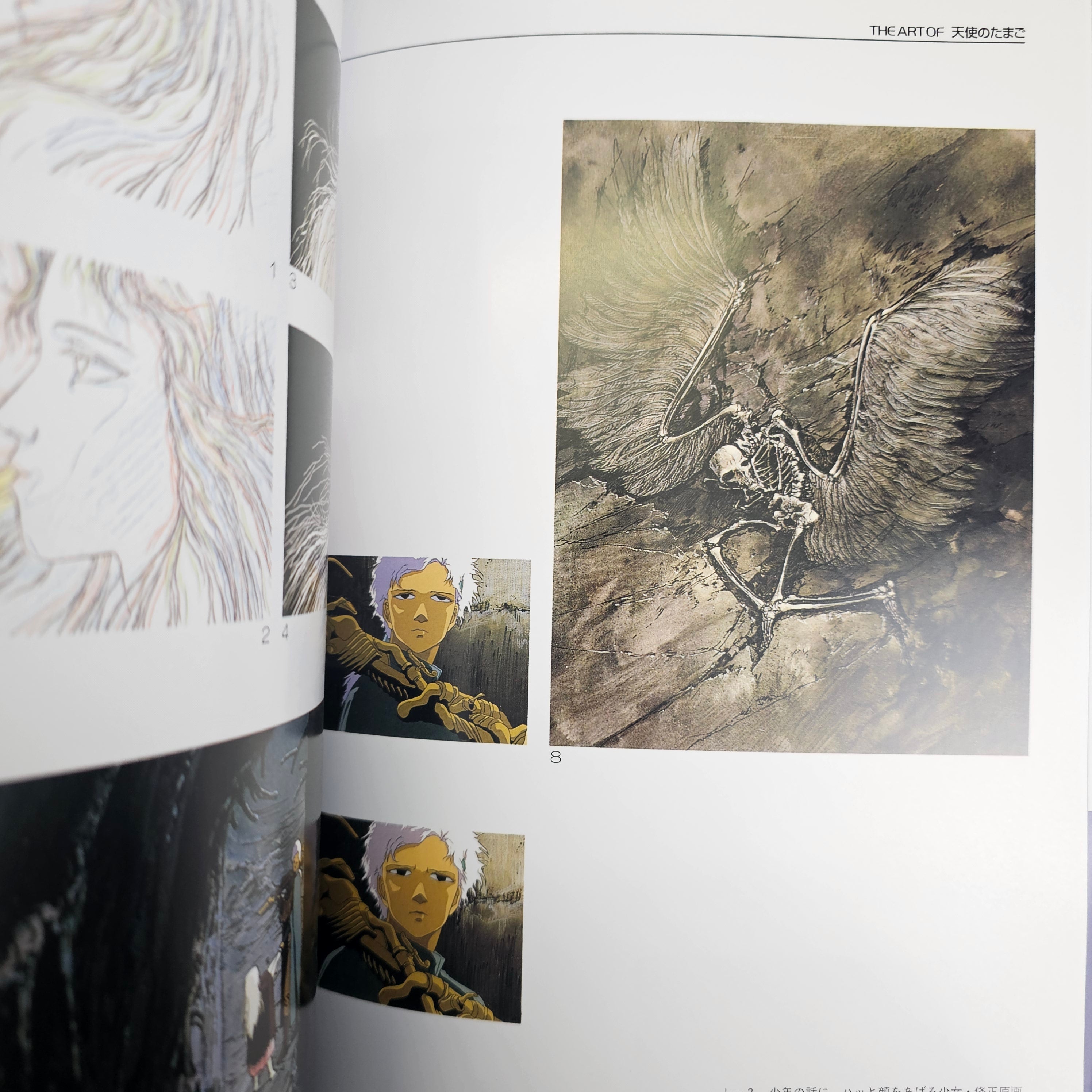 The Art Of Angel's Egg