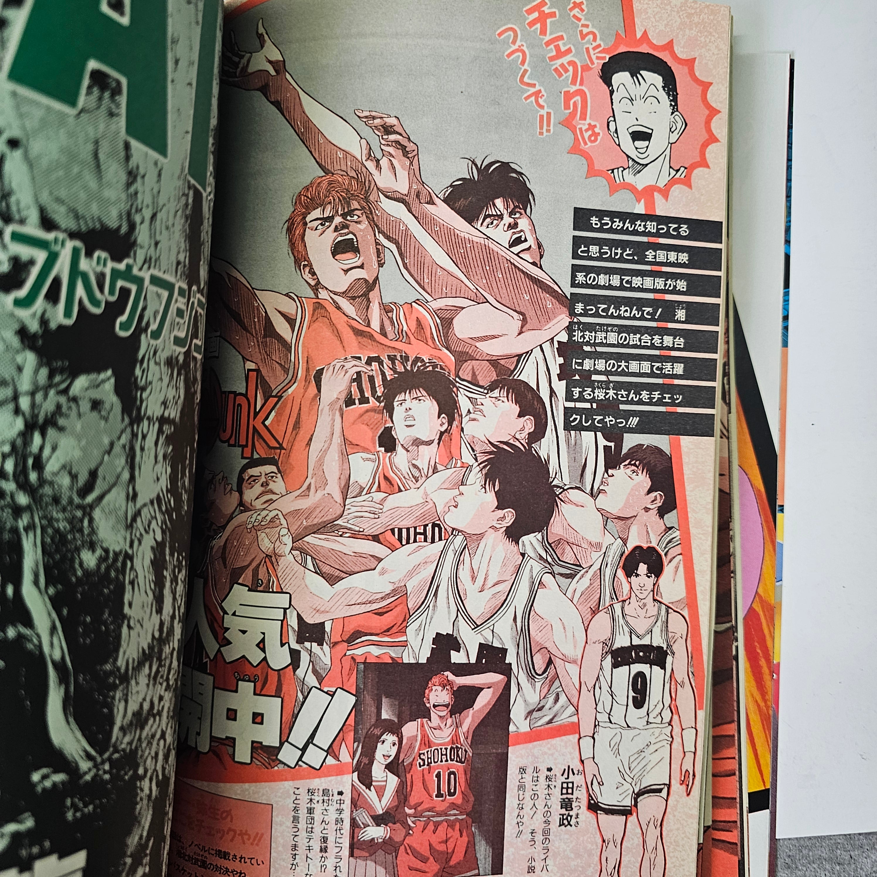 Jump Novel n°6 (1996) Slam Dunk