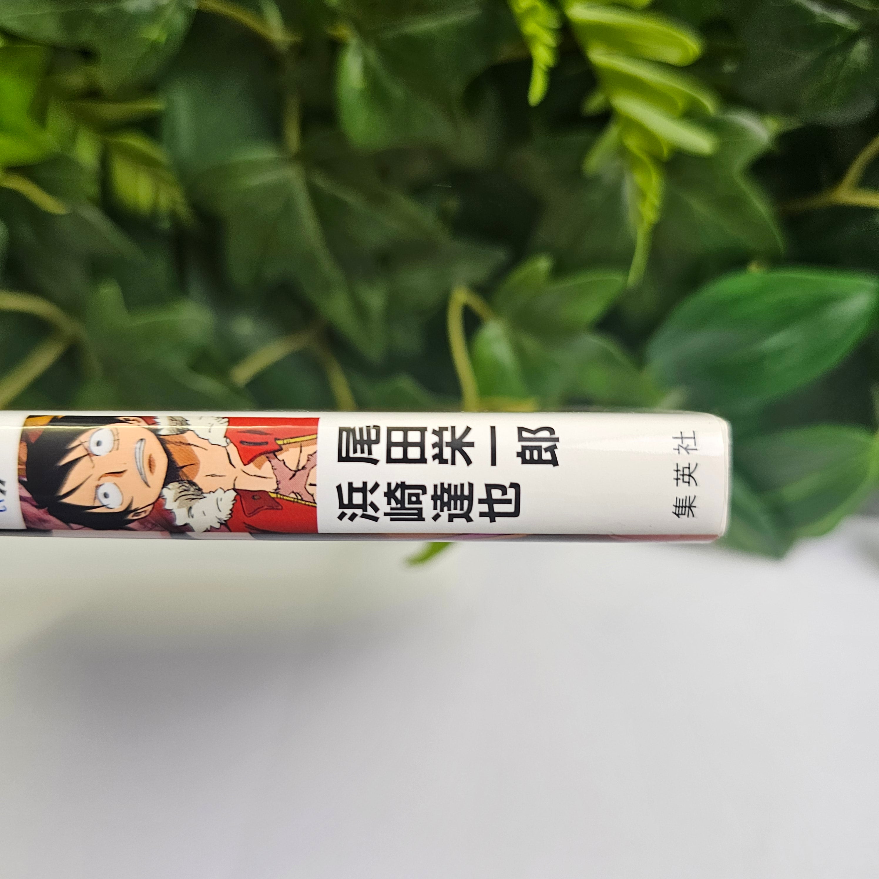 One Piece - Novel 3D2Y