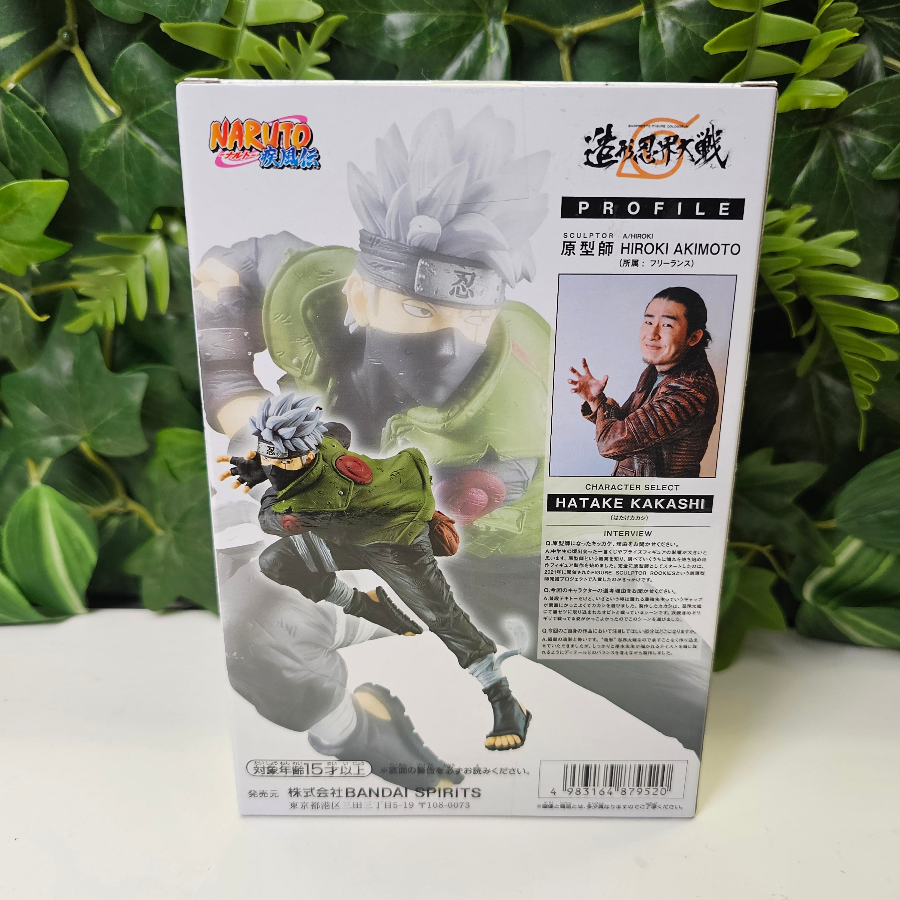 Kakashi Hatake Colosseum