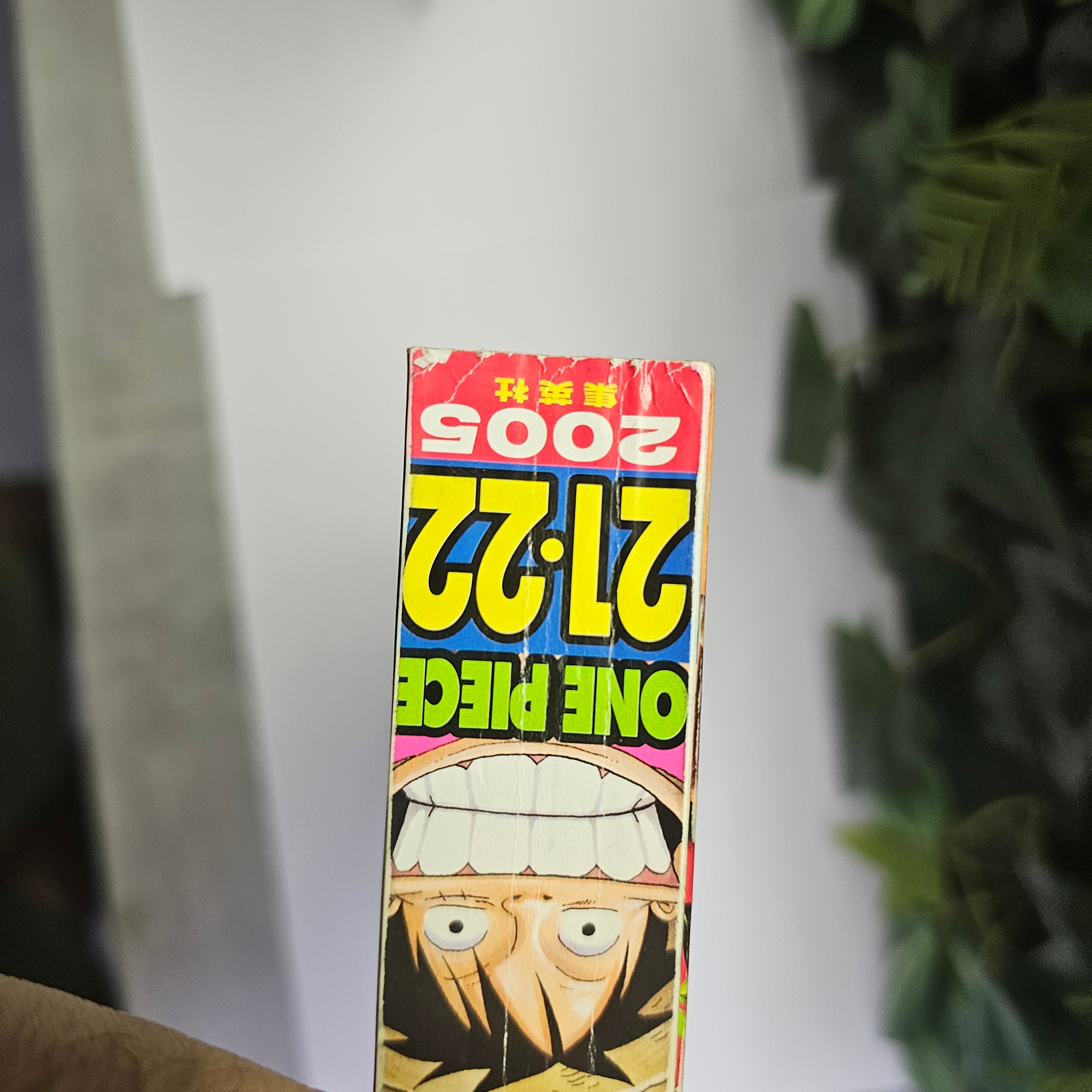 Weekly Shonen Jump n°21-22 (2005)