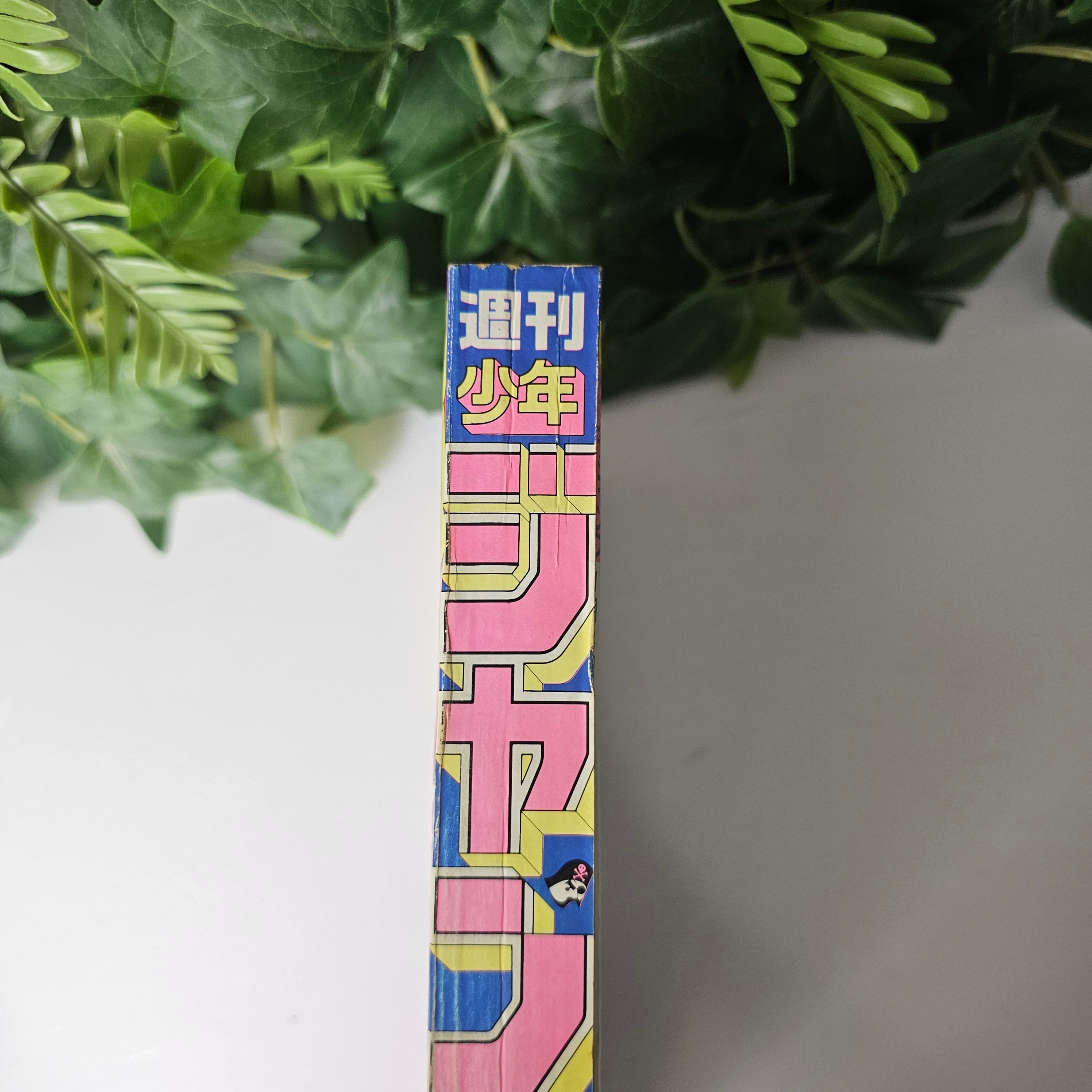 Weekly Shonen Jump n°2 (1993) (Dragon Ball)