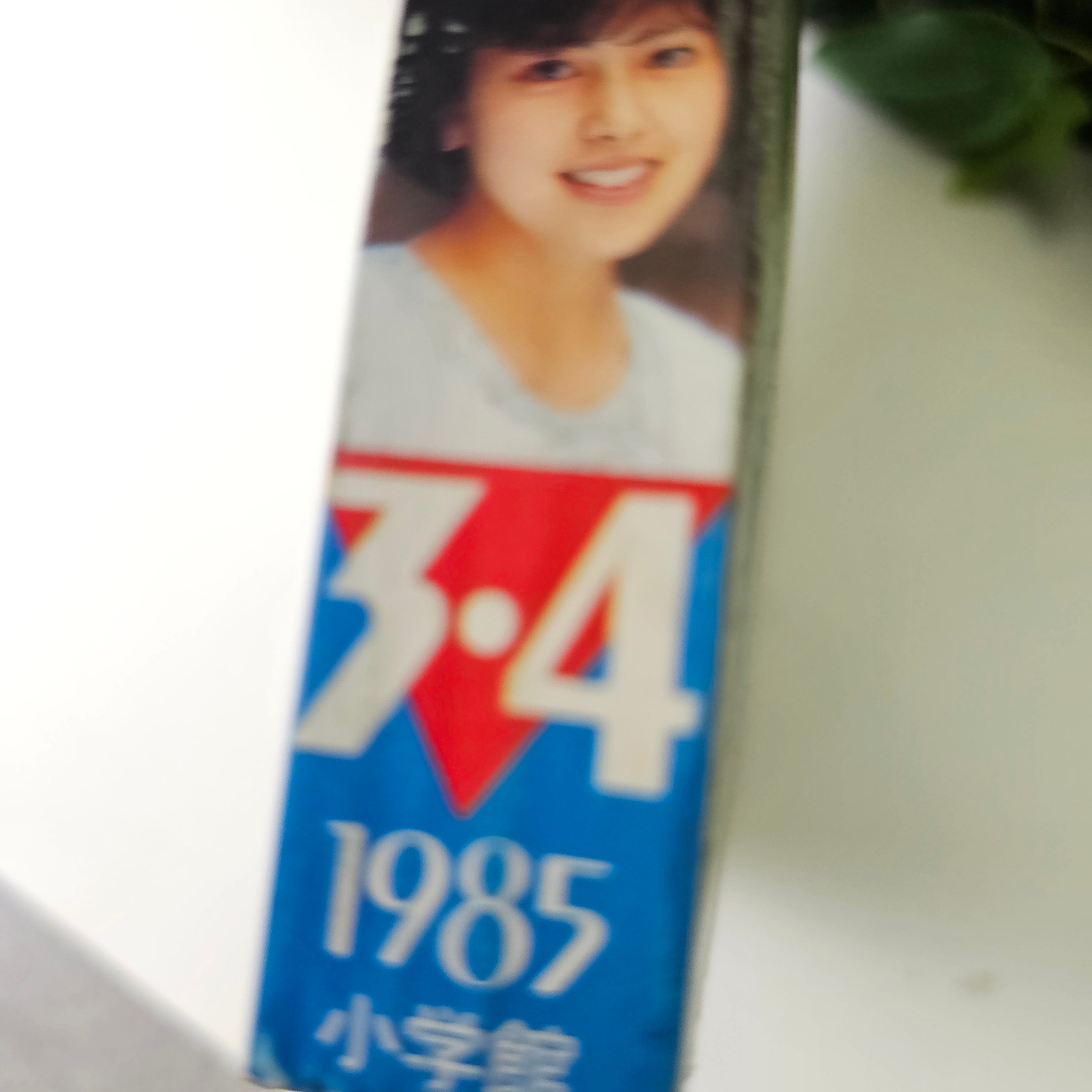 Weekly Shonen Sunday n°3-4 (1985)