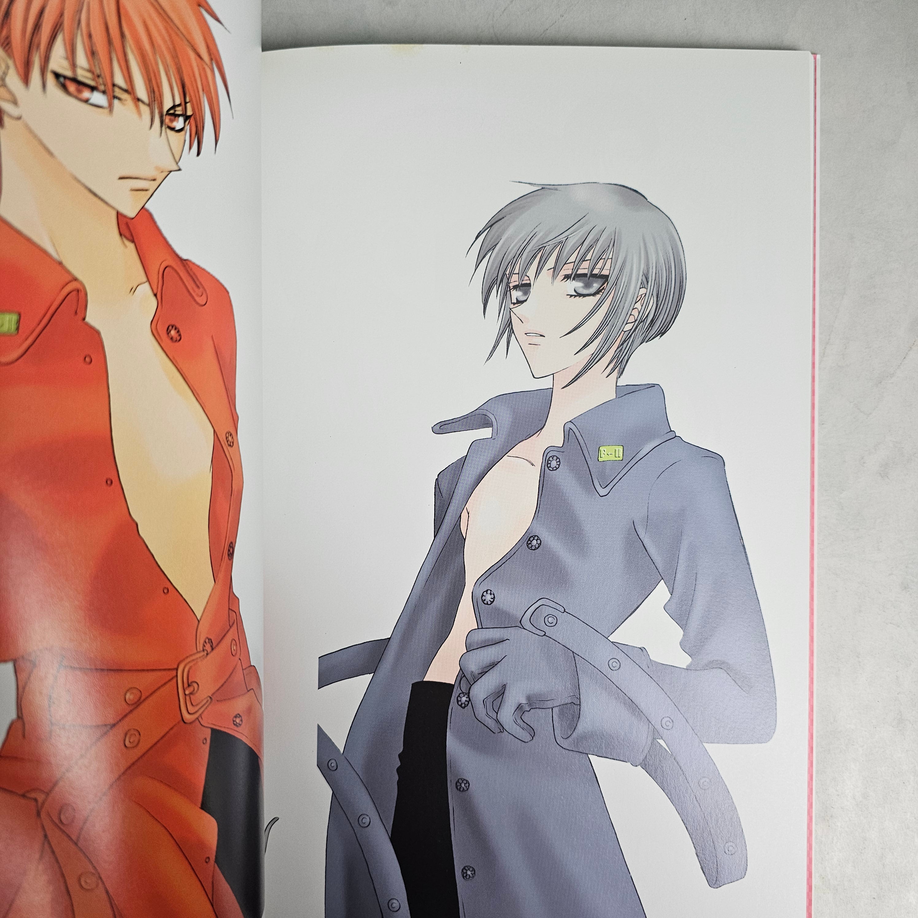 Artbook - Fruit Basket