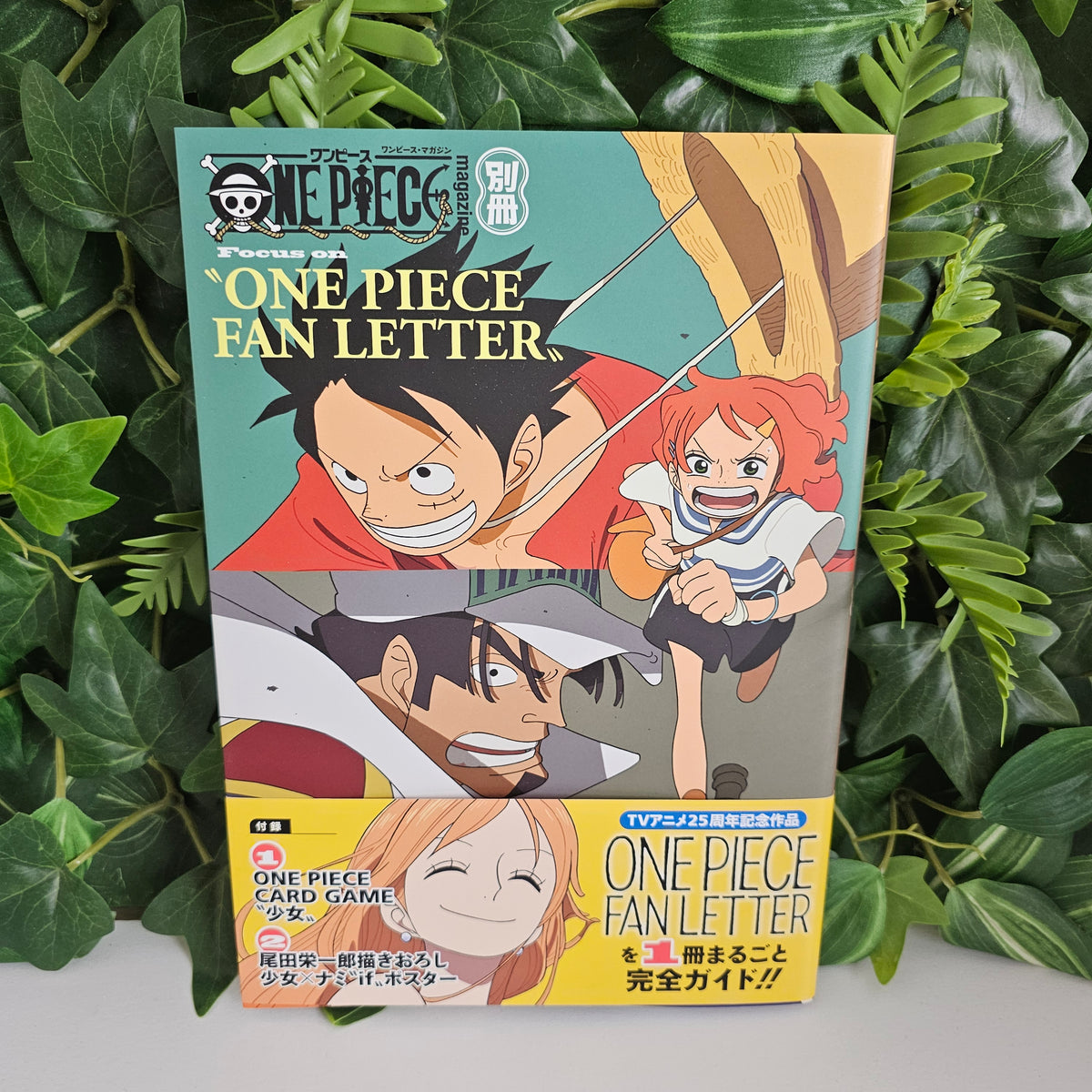 ONE PIECE FAN LETTER