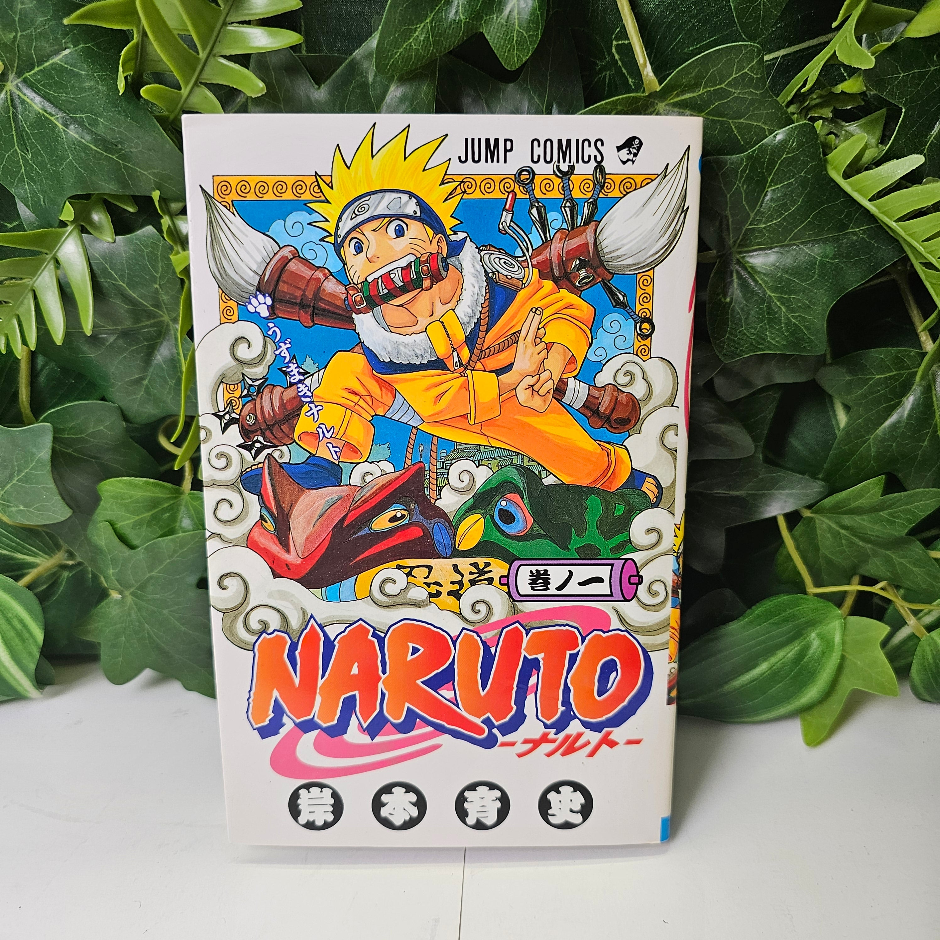 Naruto - Tome 1 (VO)