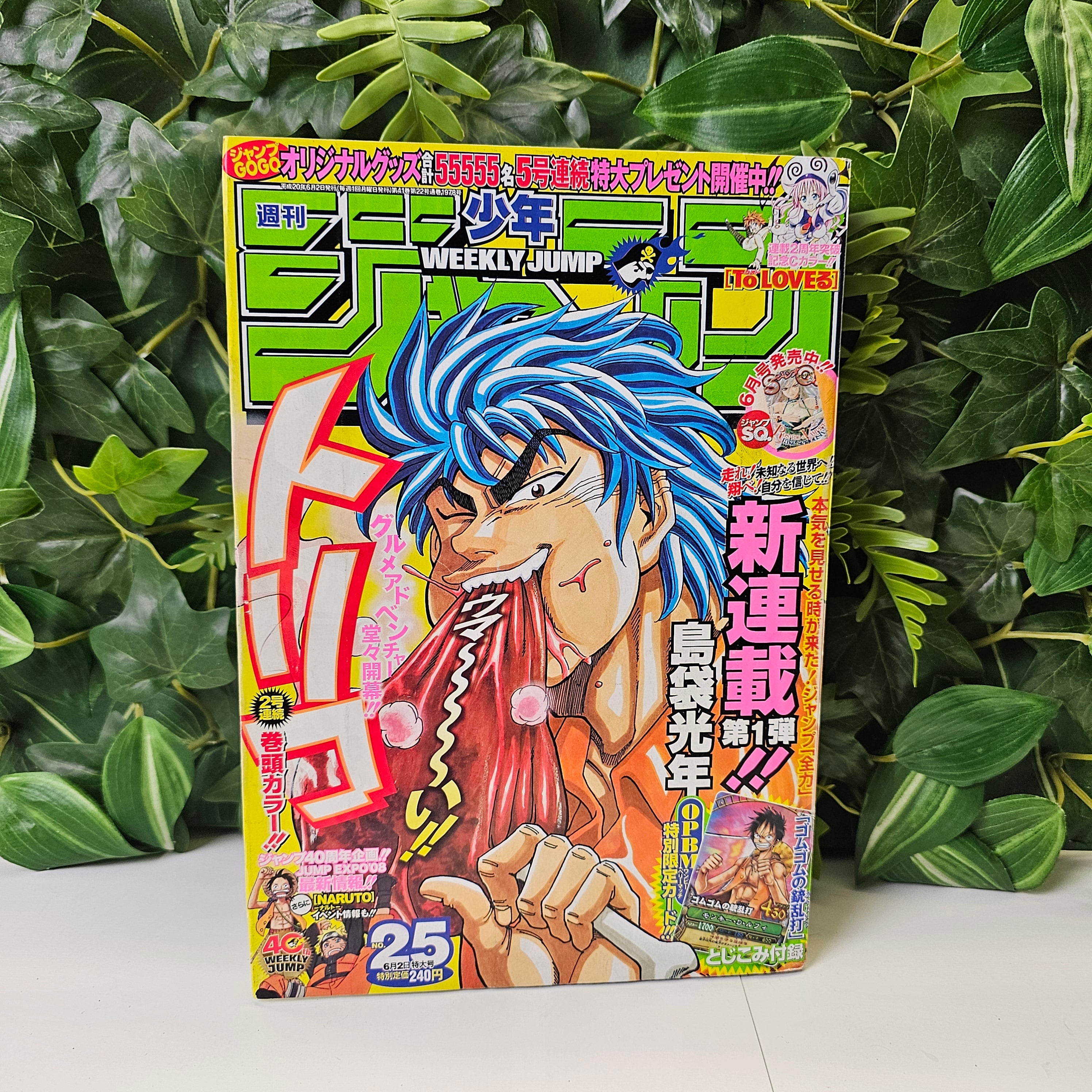 Weekly Shonen Jump n°25 (2008) PREMIER CHAPITRE