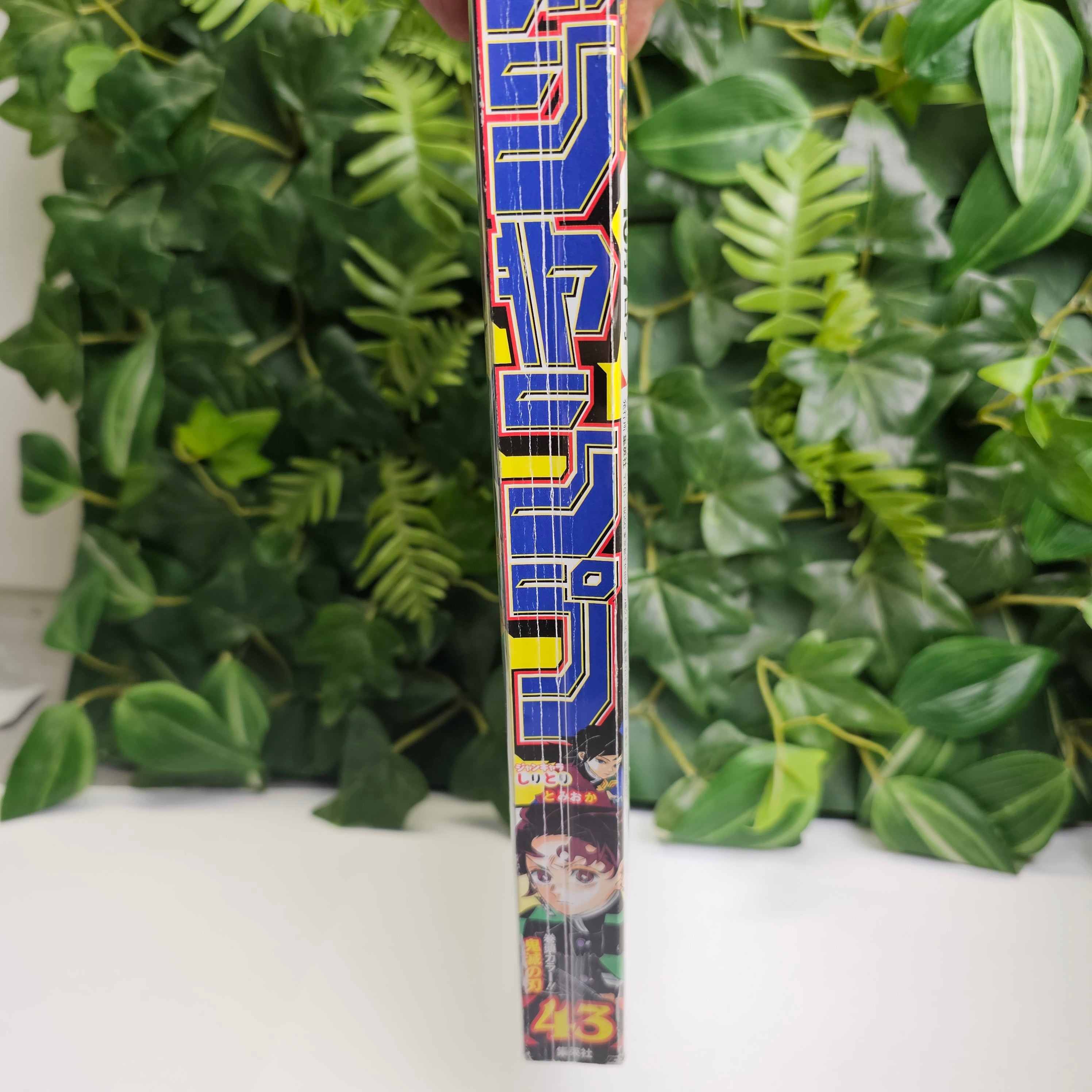 Weekly Shonen Jump n°43 (2019)