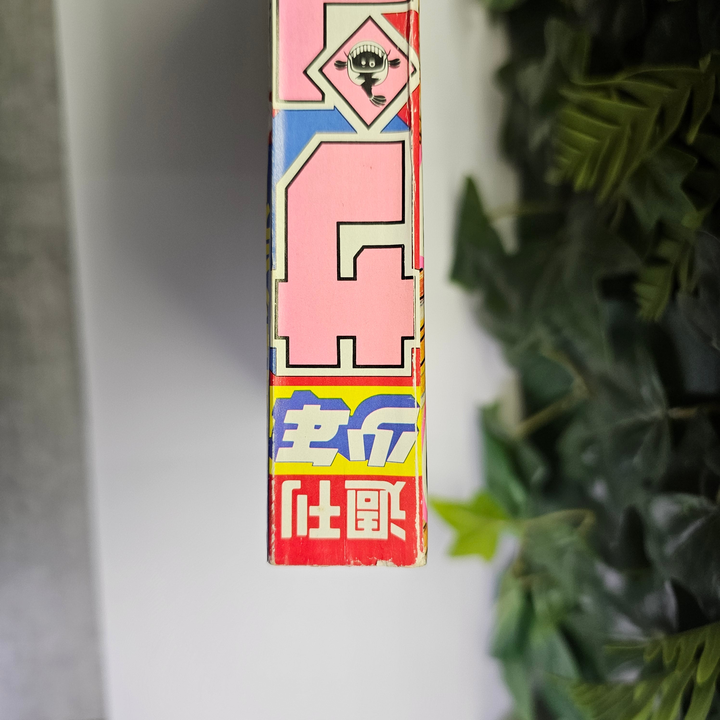 Weekly Shonen Sunday n°6 (1993)