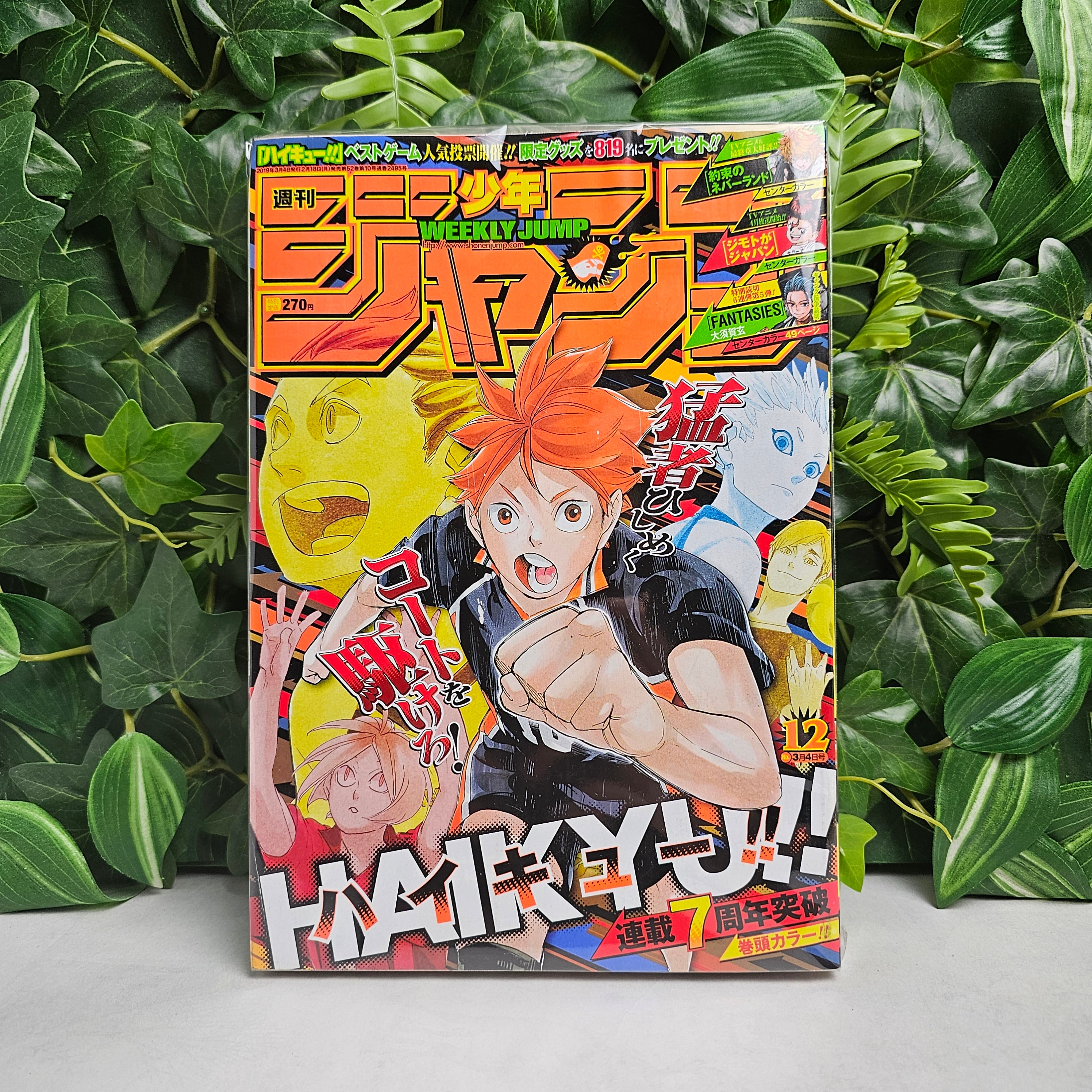 Weekly Shonen Jump n°12 (2019)