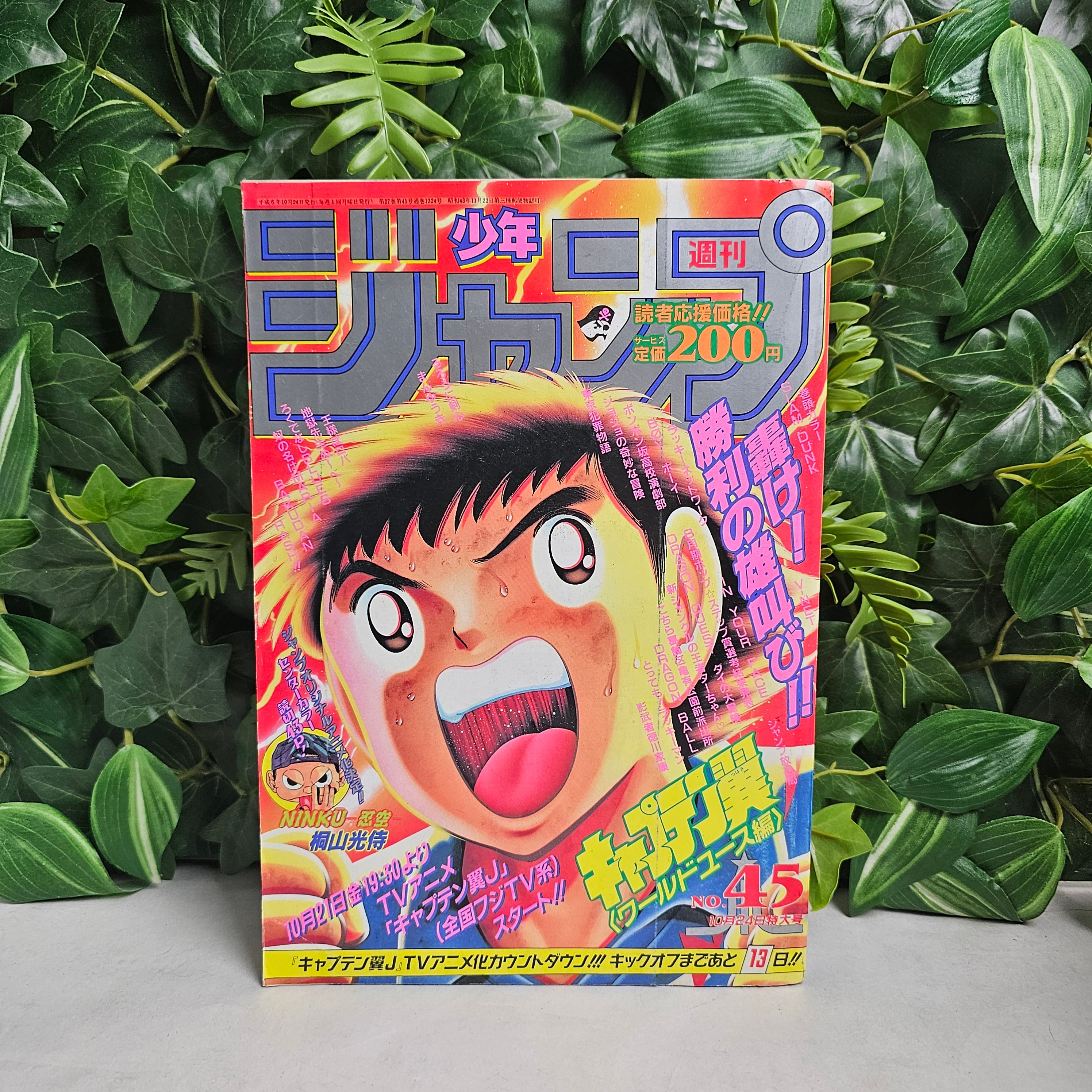 Weekly Shonen Jump n°45 (1994)