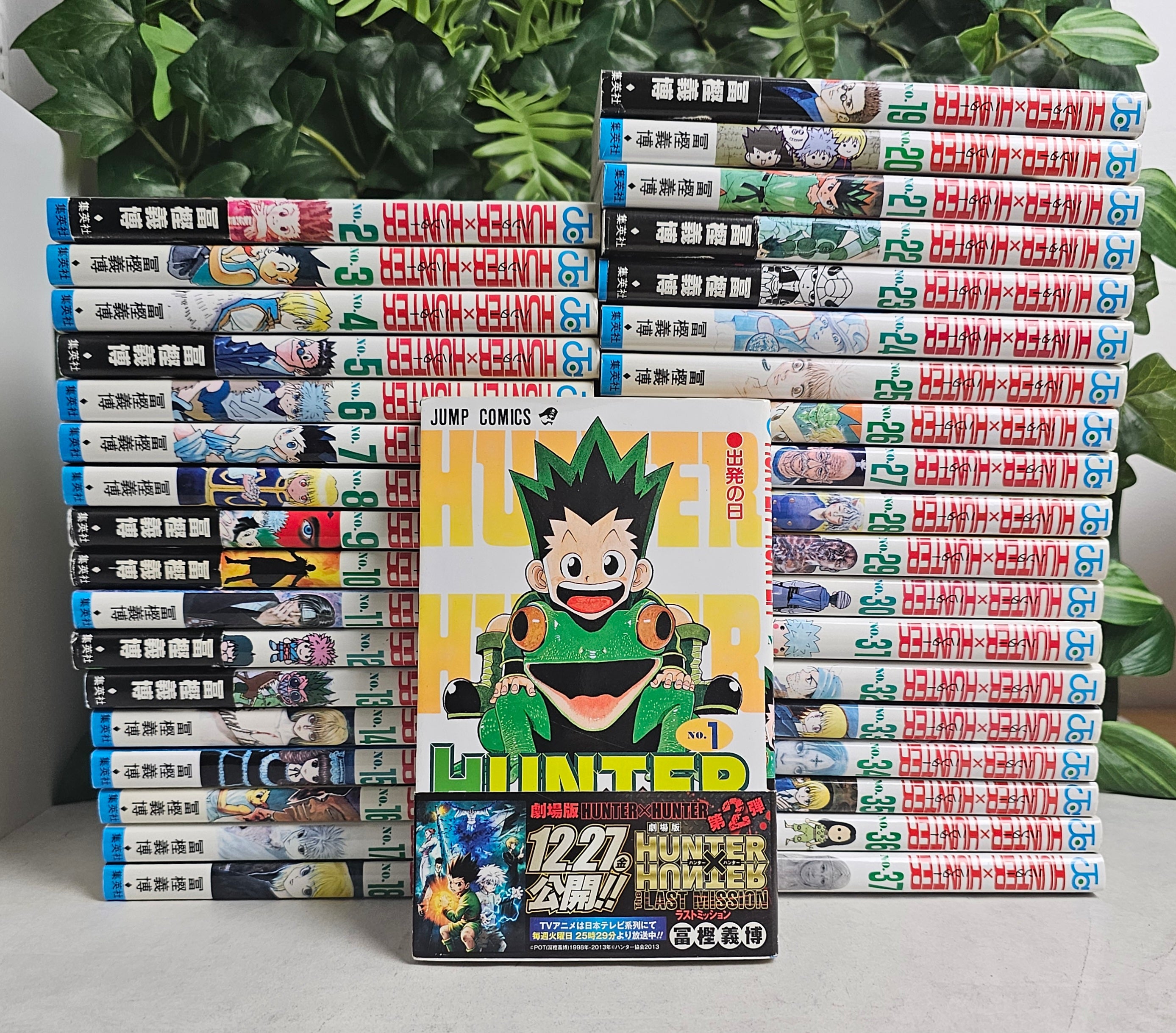 Intégrale Hunter x Hunter