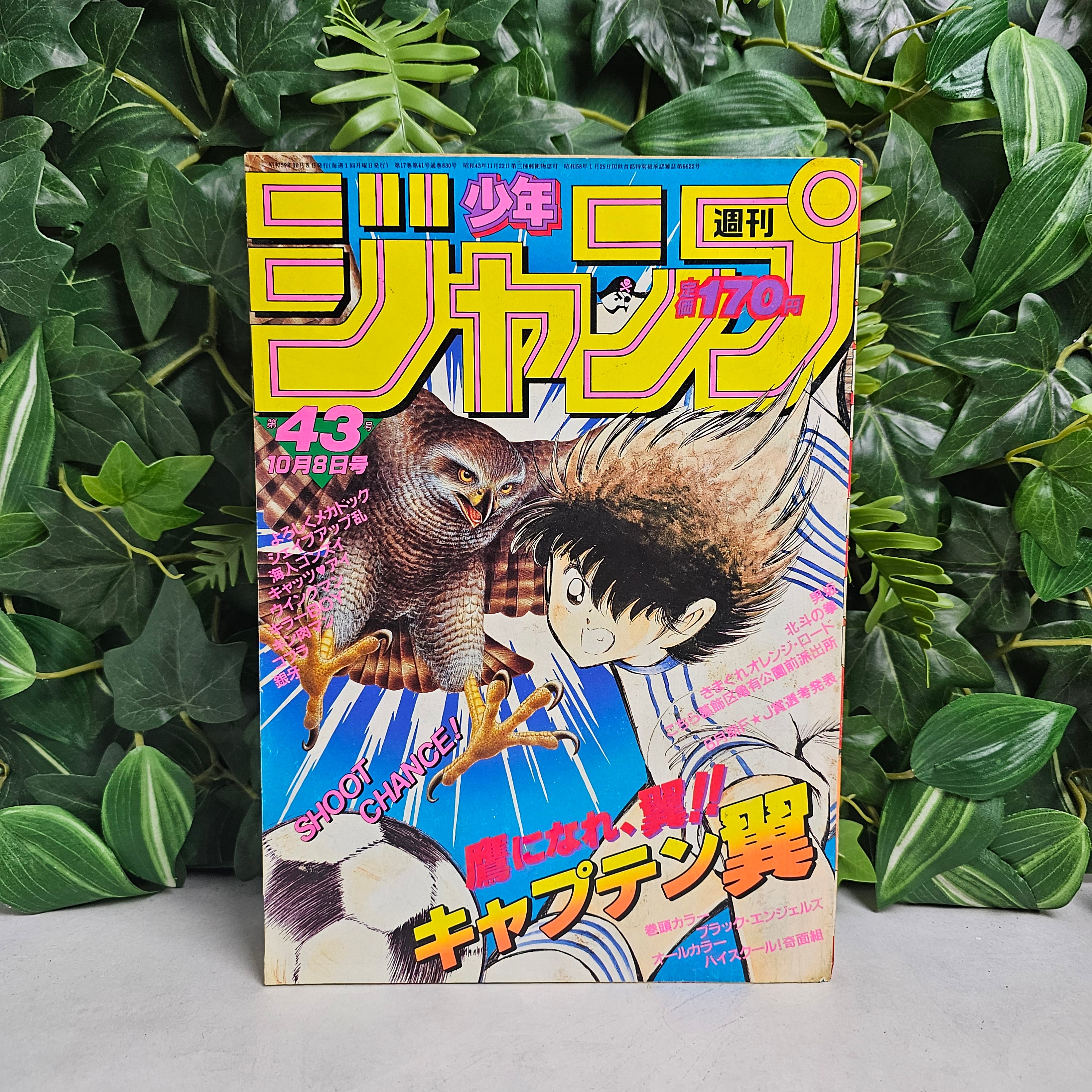 Weekly Shonen Jump n°43 (1984)