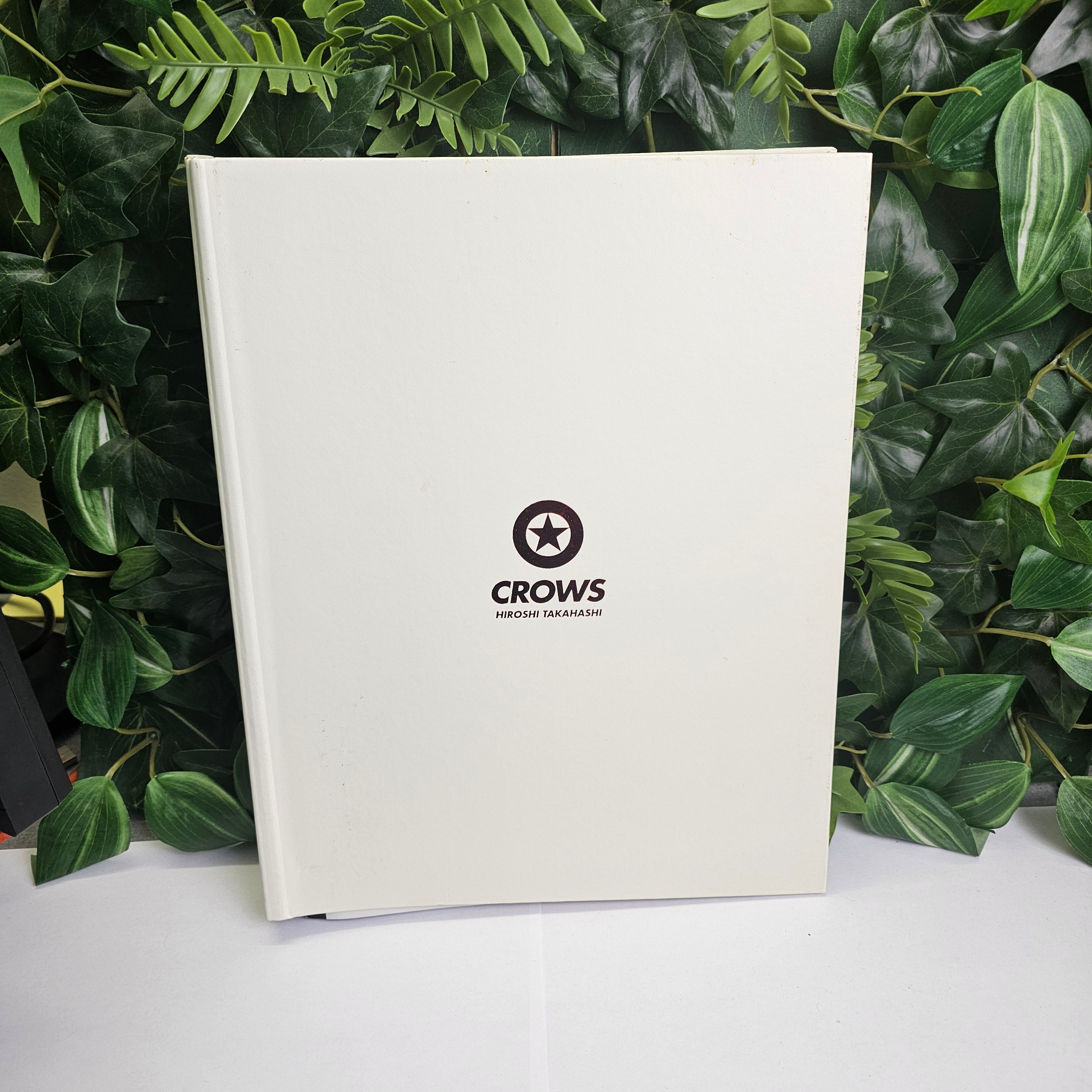 Classeur artbooks CROWS 6 à 10