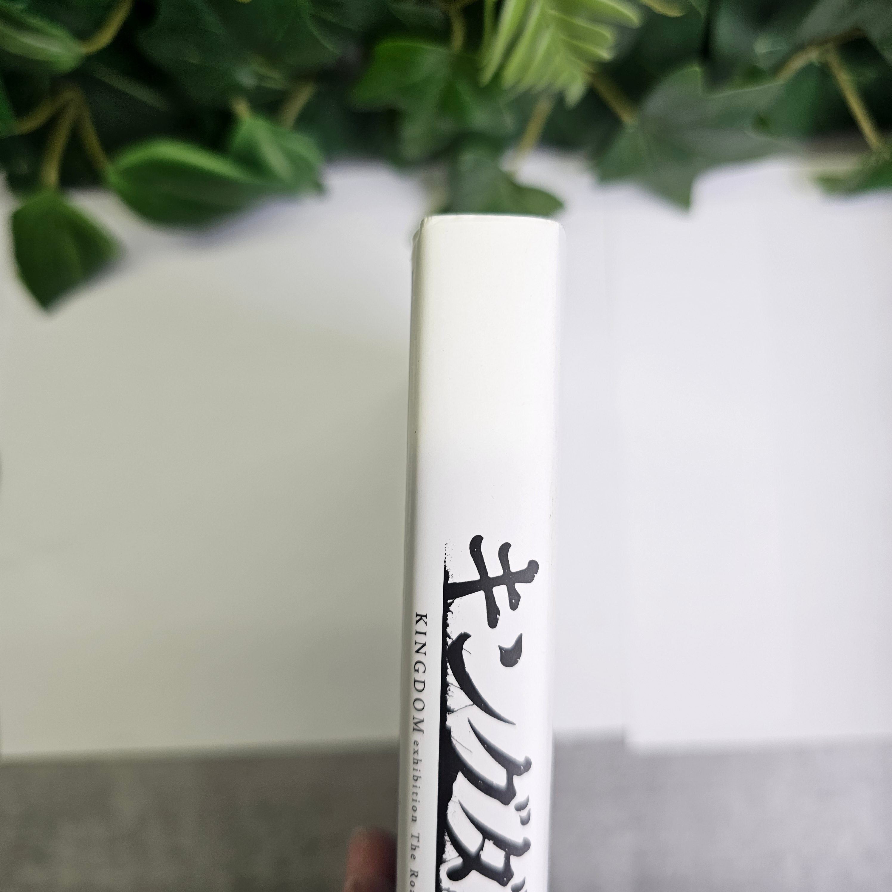 Artbook Kingdom - Road Of Shin