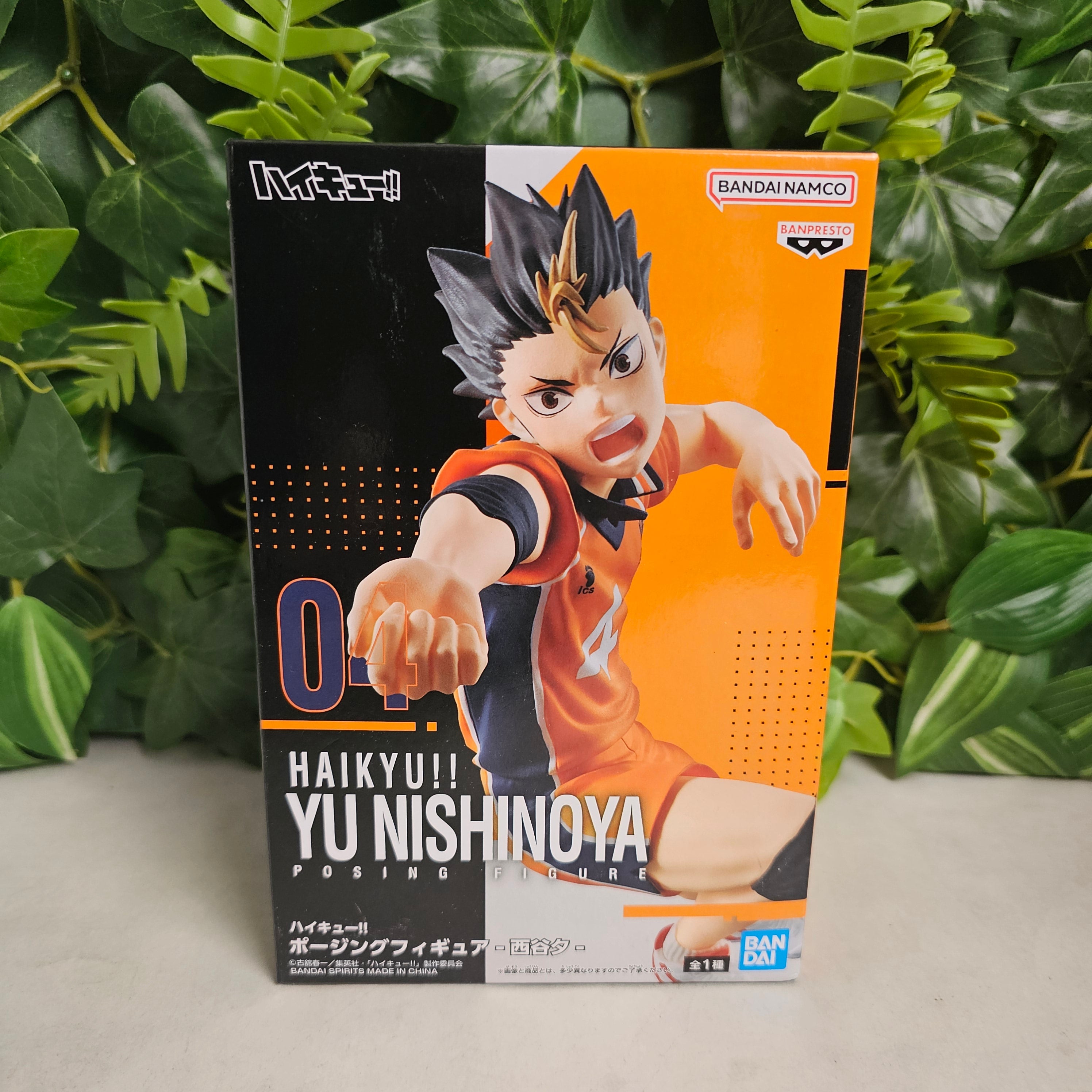 Posing Figure - YU Nishinoya