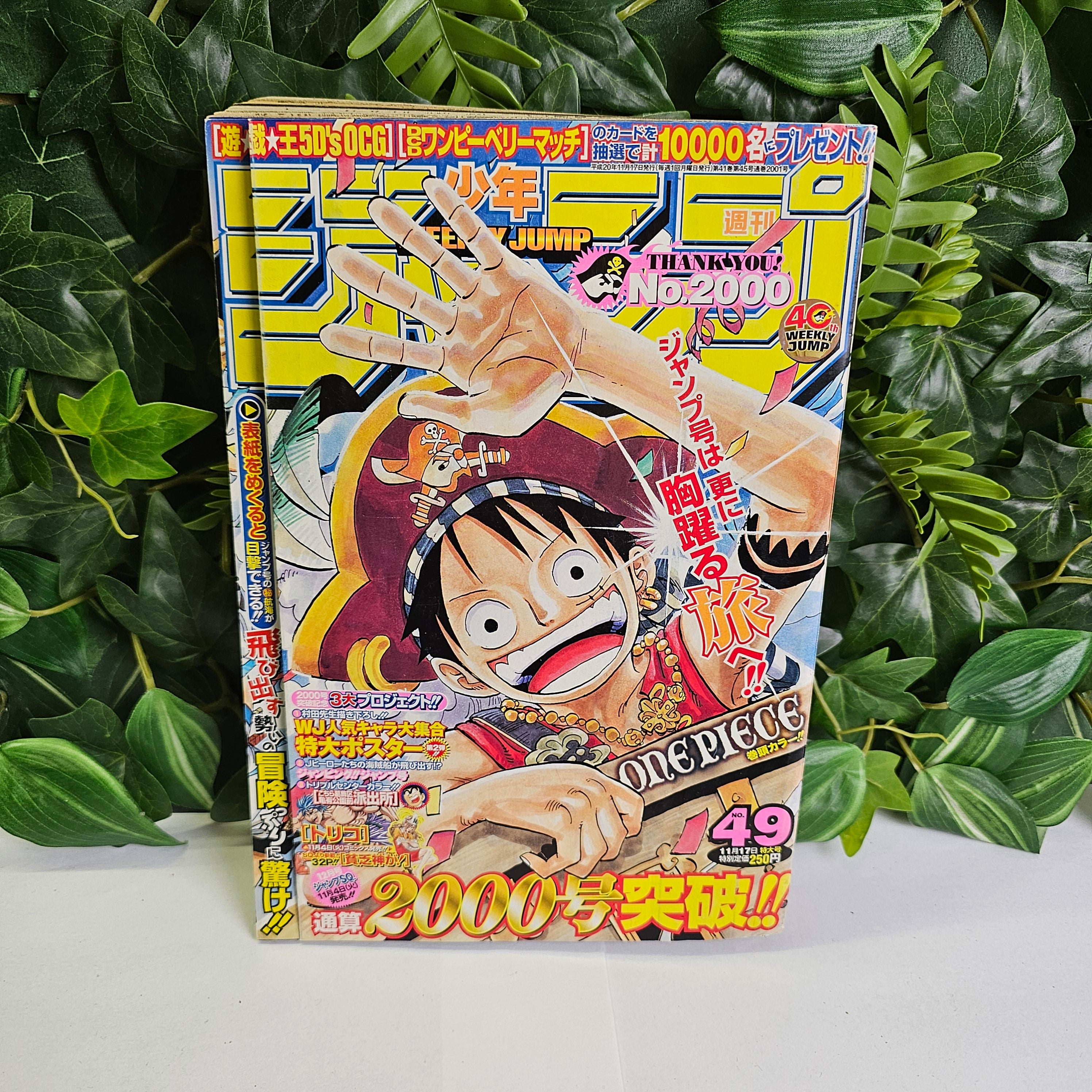 Weekly Shonen Jump n°49 (2008) (One Piece)