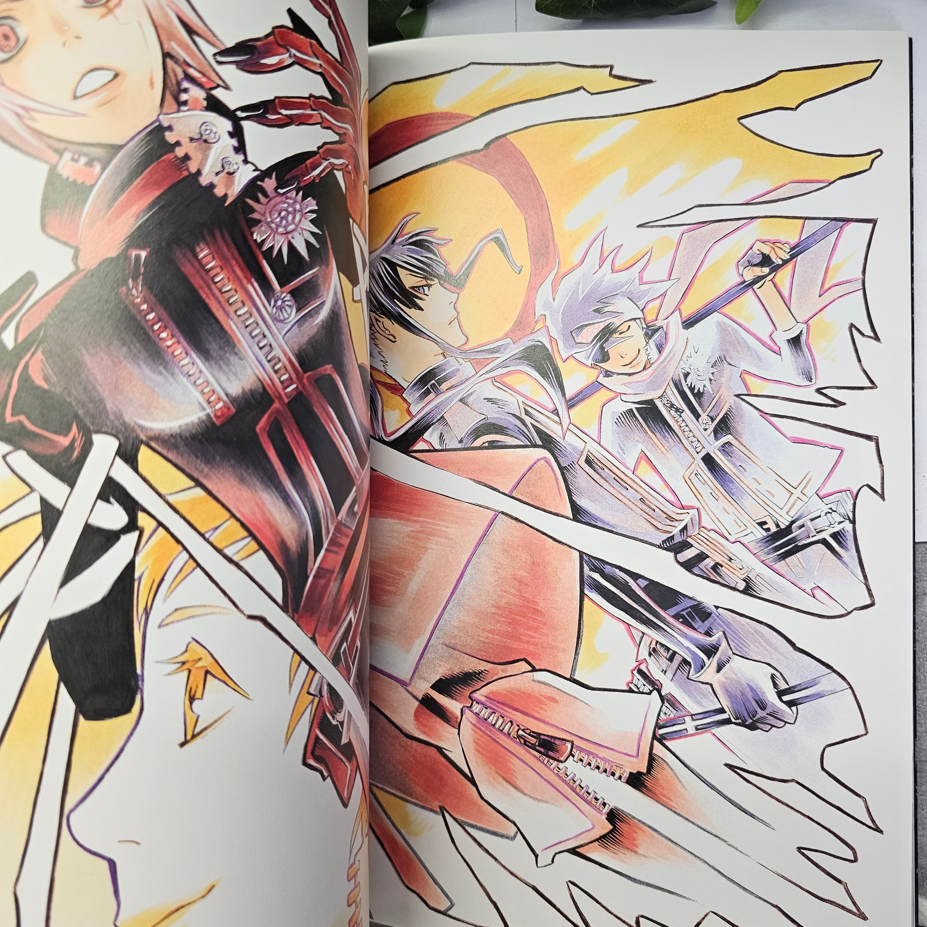 D.Gray-man Illustrations Noche - Artbook