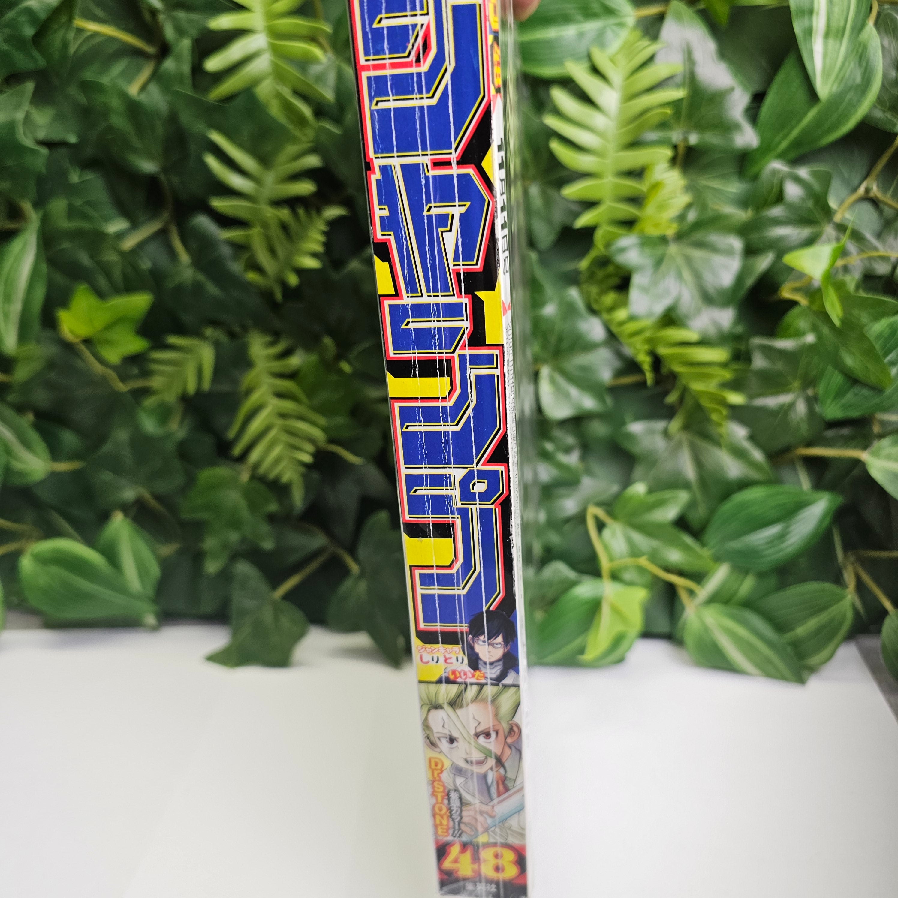 Weekly Shonen Jump n°48 (2019)