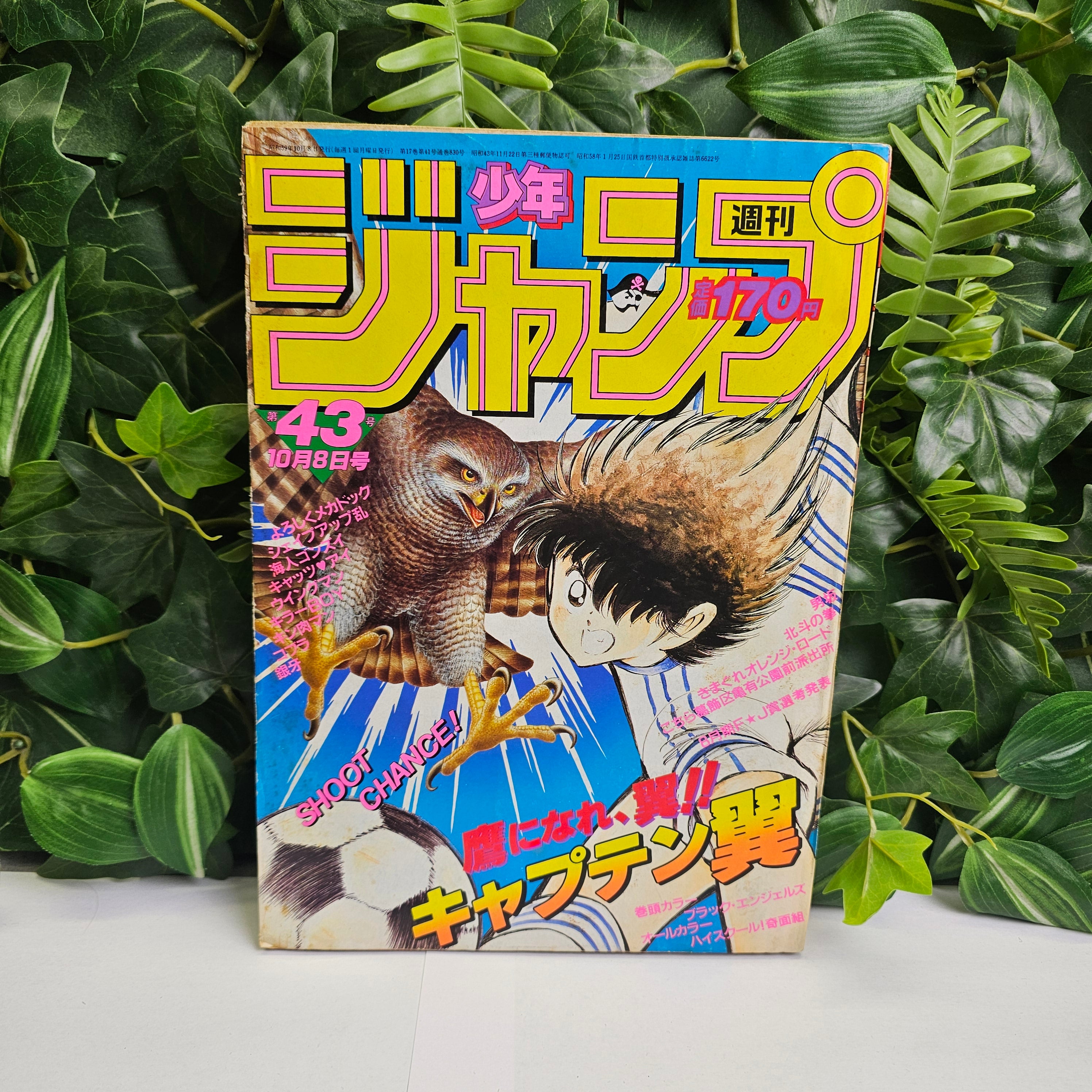 Weekly Shonen Jump n°43 (1984)