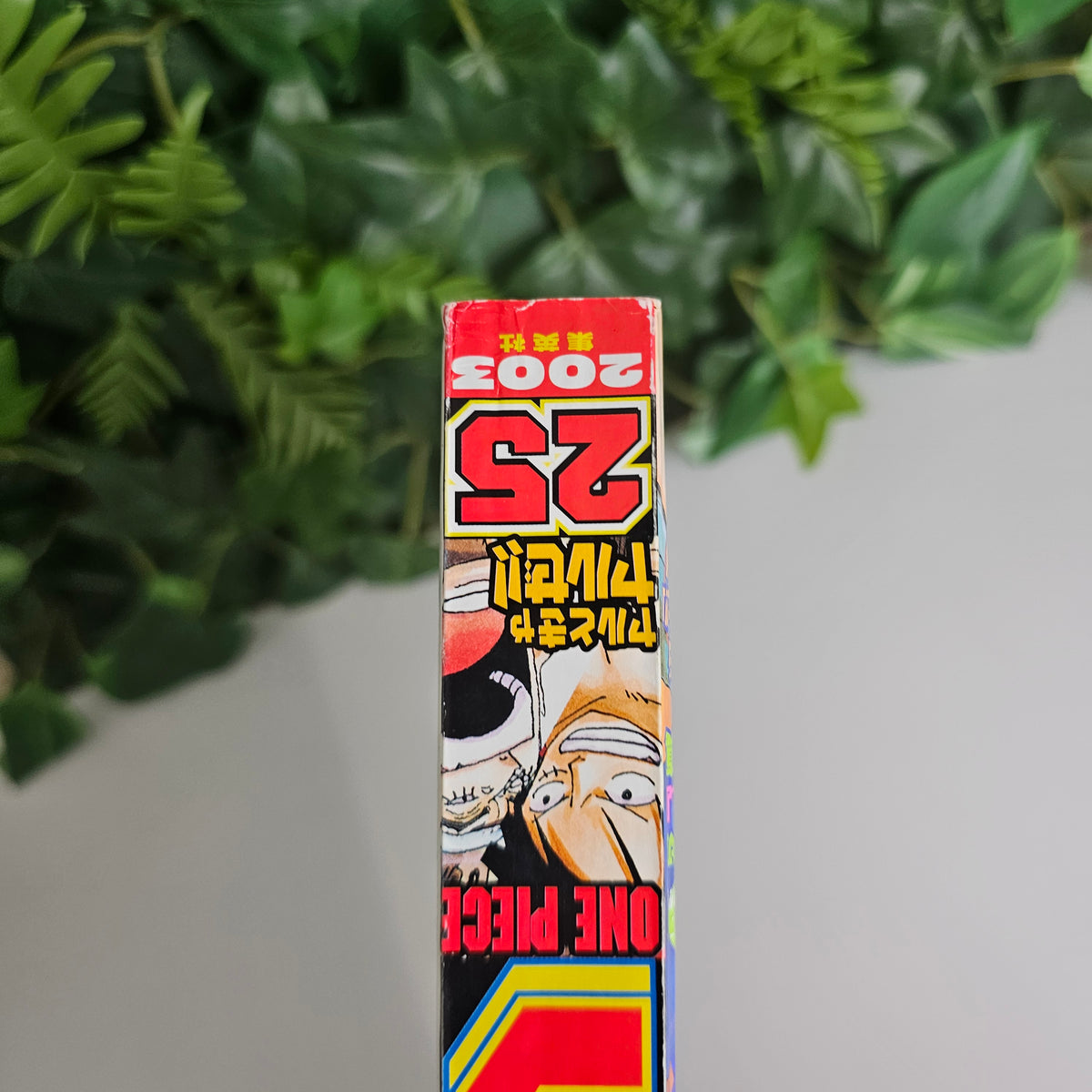Weekly Shonen Jump n°25 (2003) (One Piece)