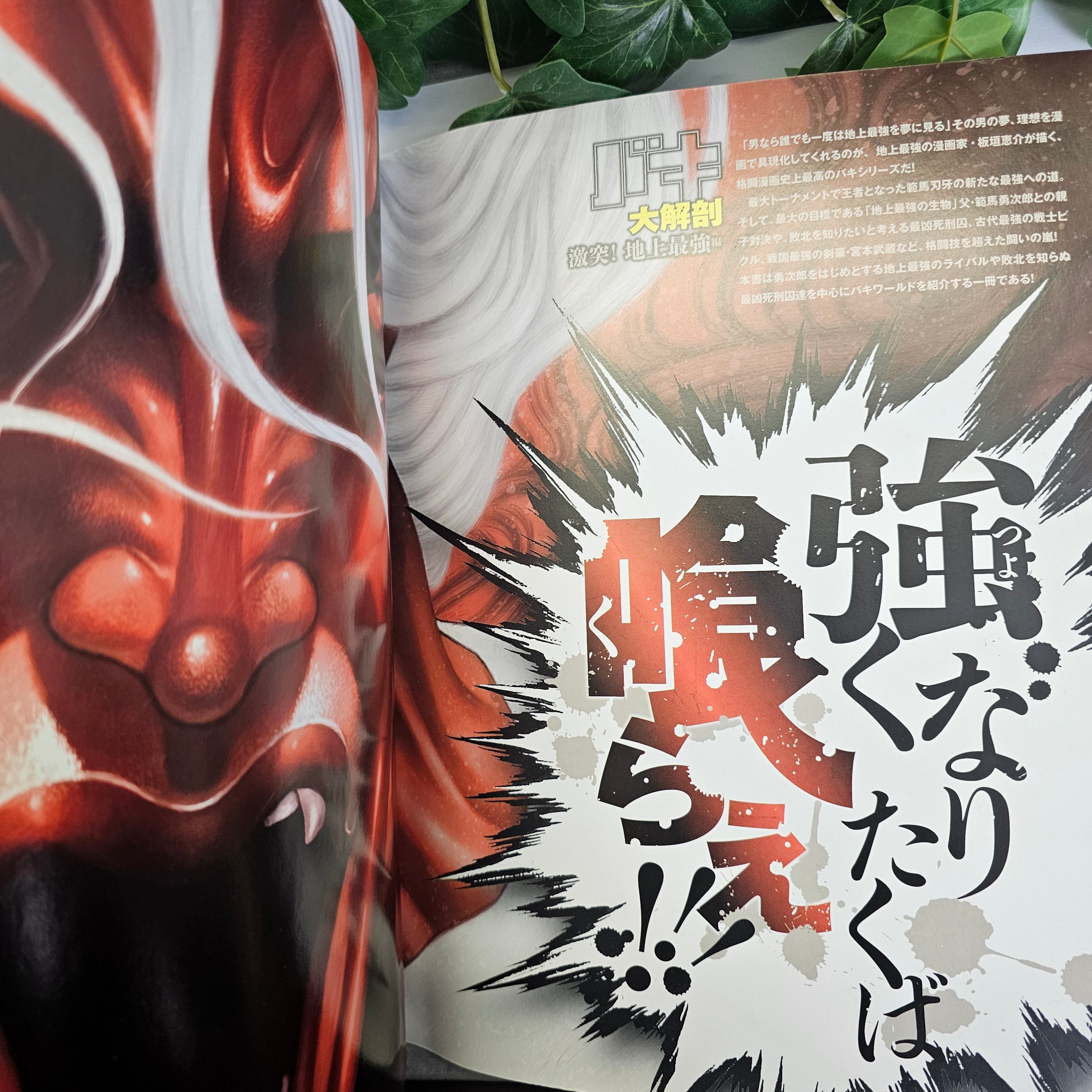 Mook - Baki Great Dissection Clash