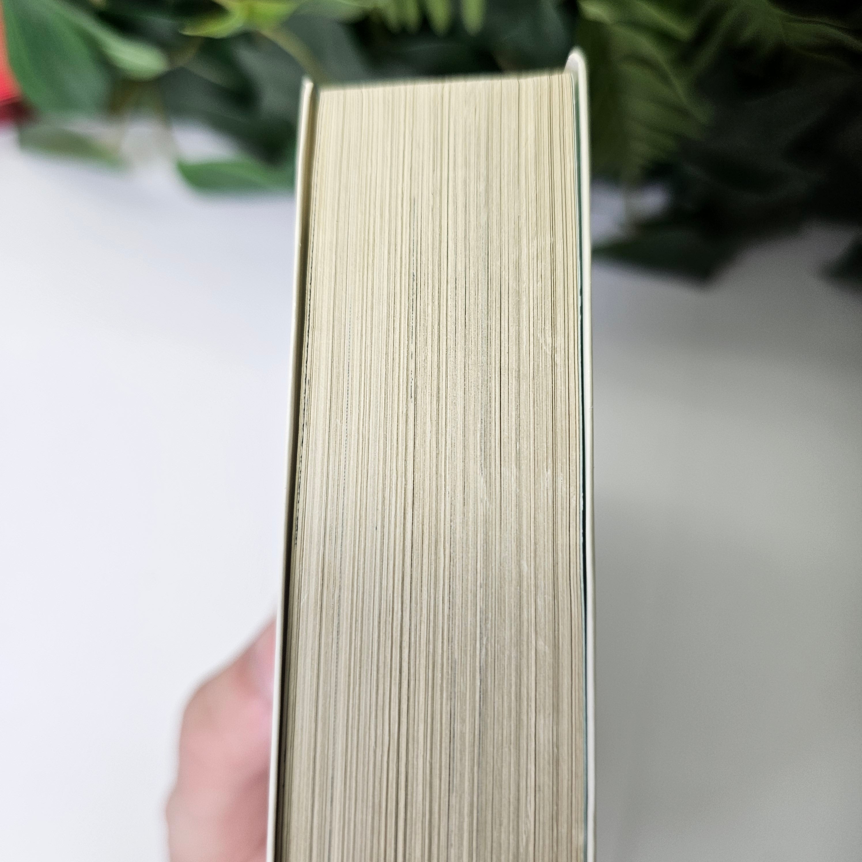 Touch édition double - Tome 1 (VO)