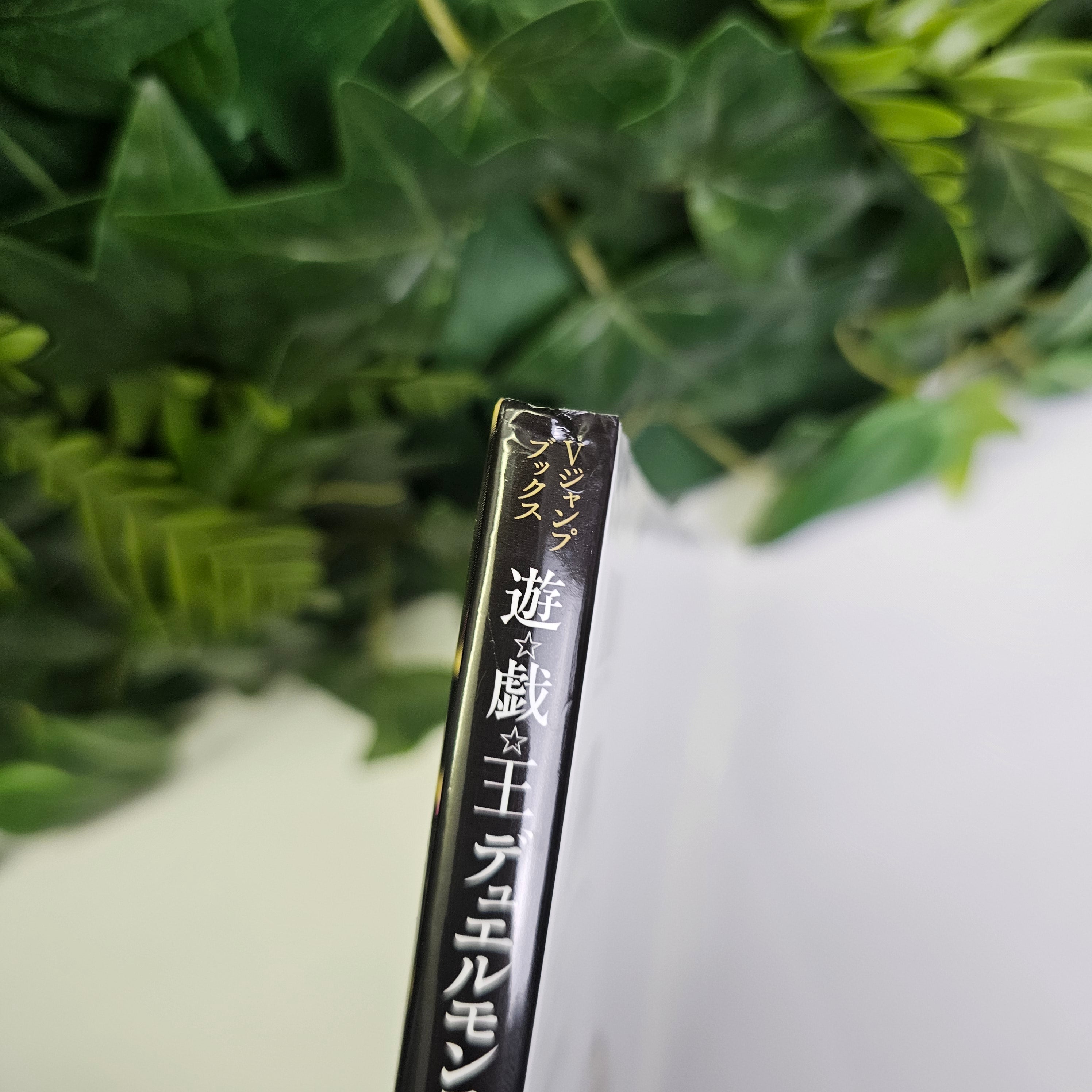 Yu-Gi-Oh! Duel Monsters - Anime Complete Guide: Millennium Memory