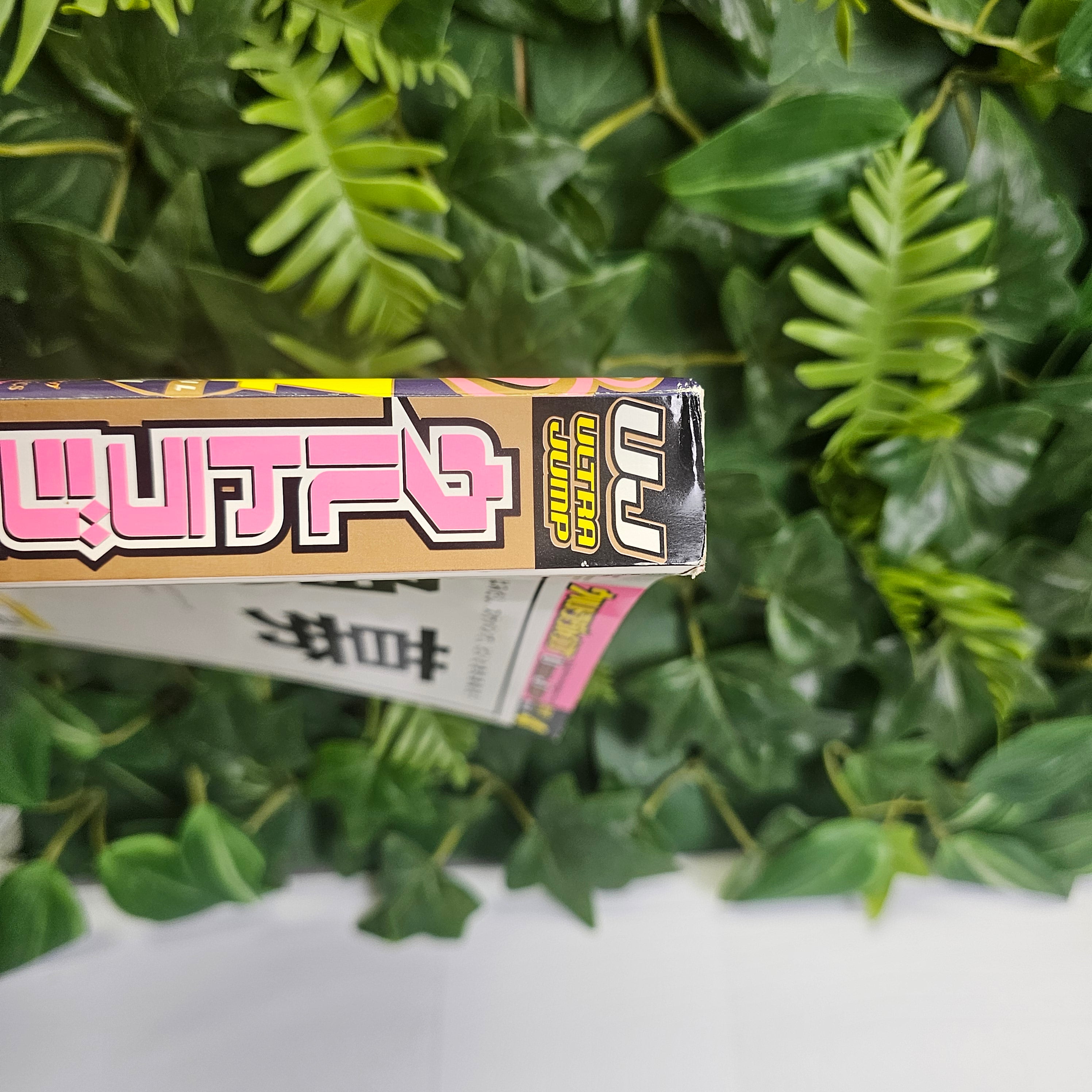 Ultra Jump n°4 (2010)