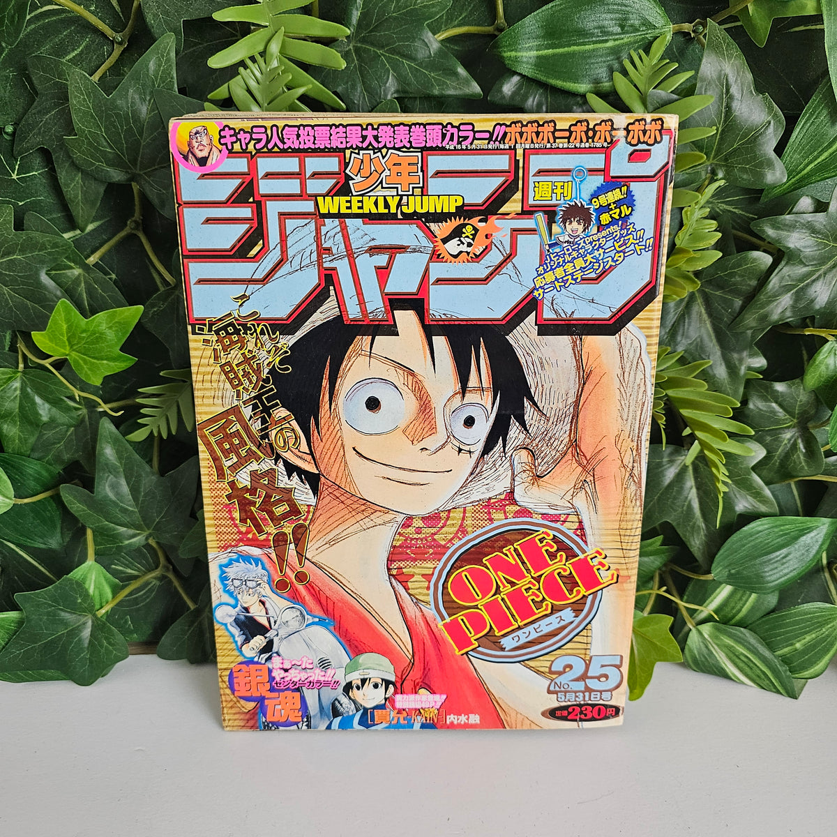 Weekly Shonen Jump n°25 (2004) (One Piece)