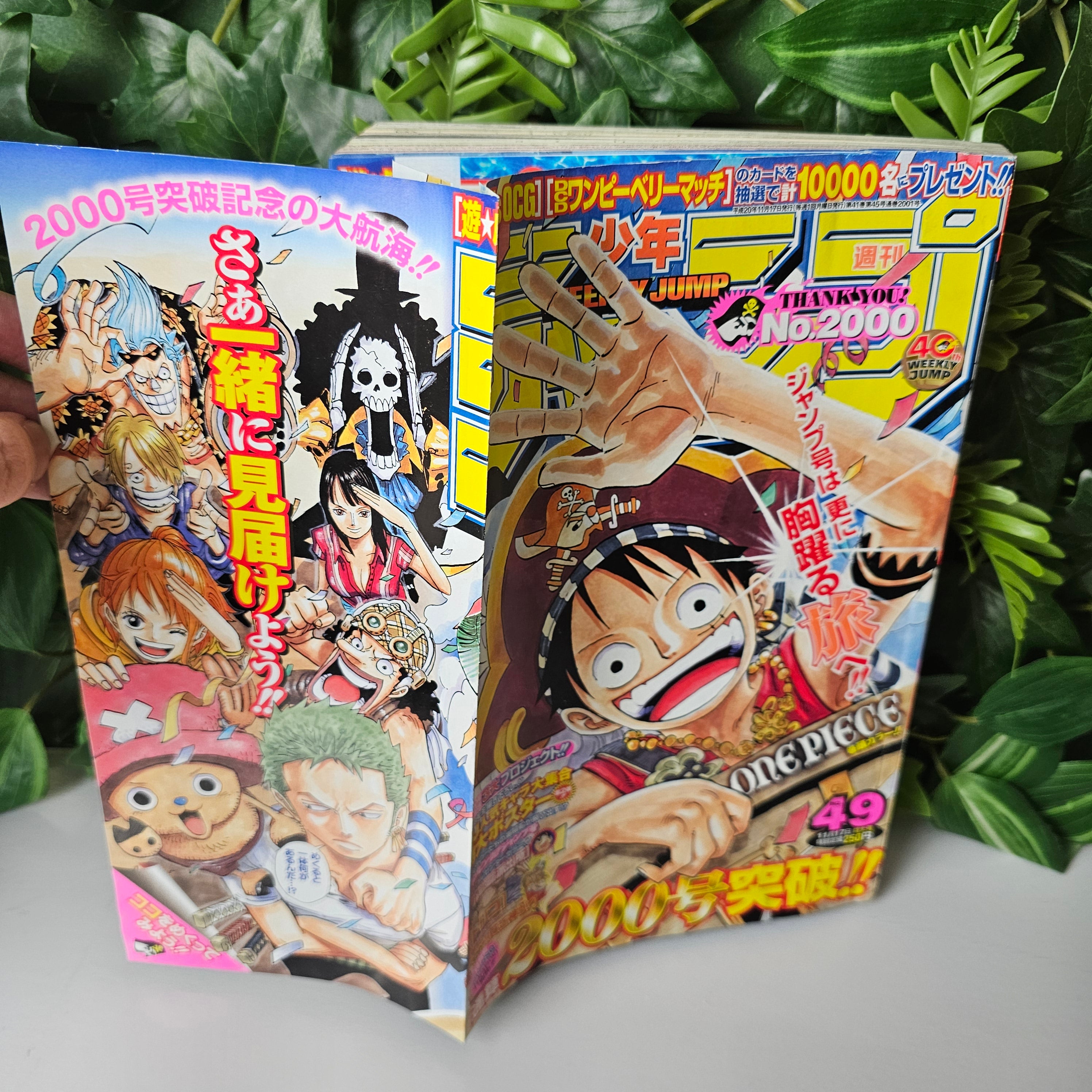 Weekly Shonen Jump n°49 (2008) (One Piece)