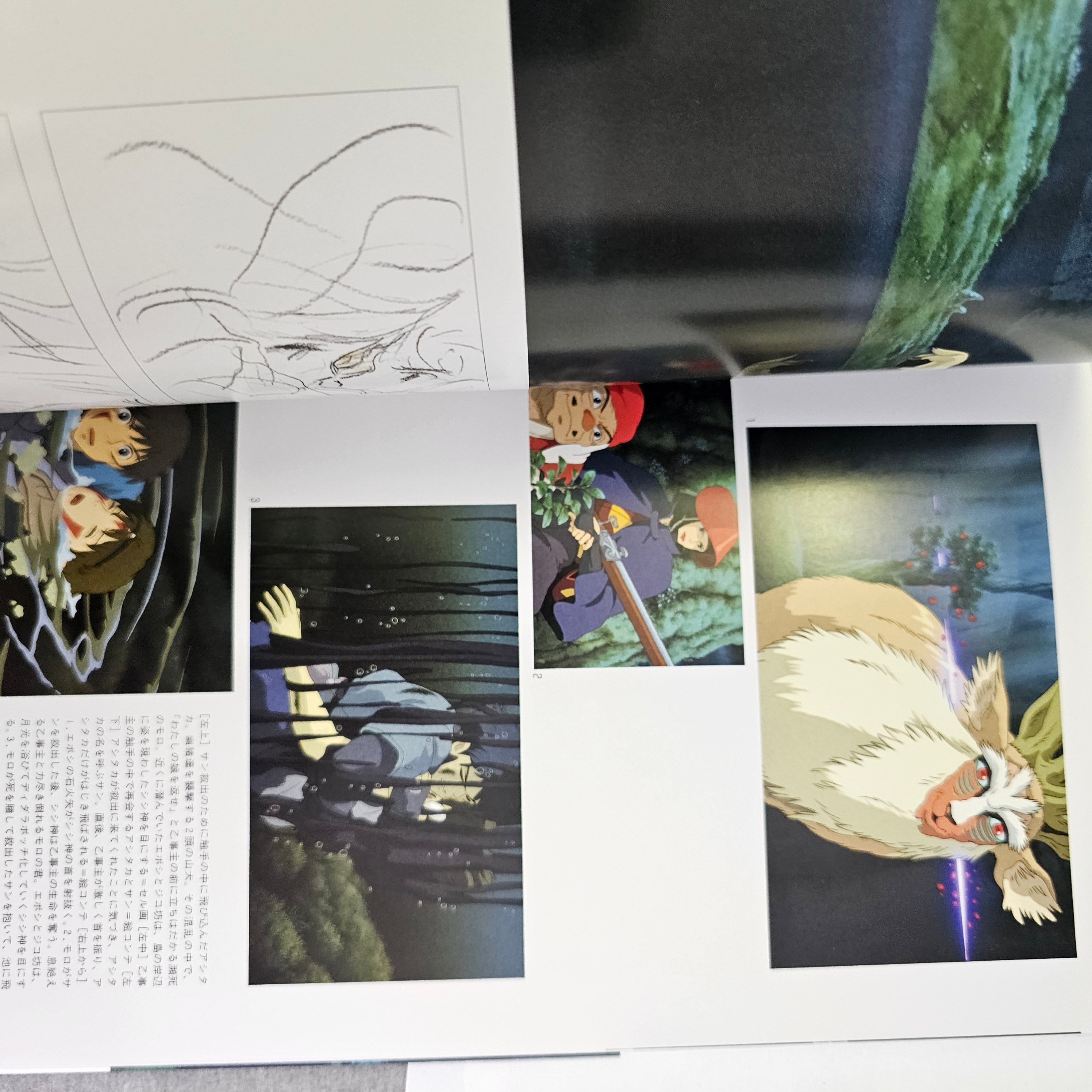 The Art of Princess Mononoke