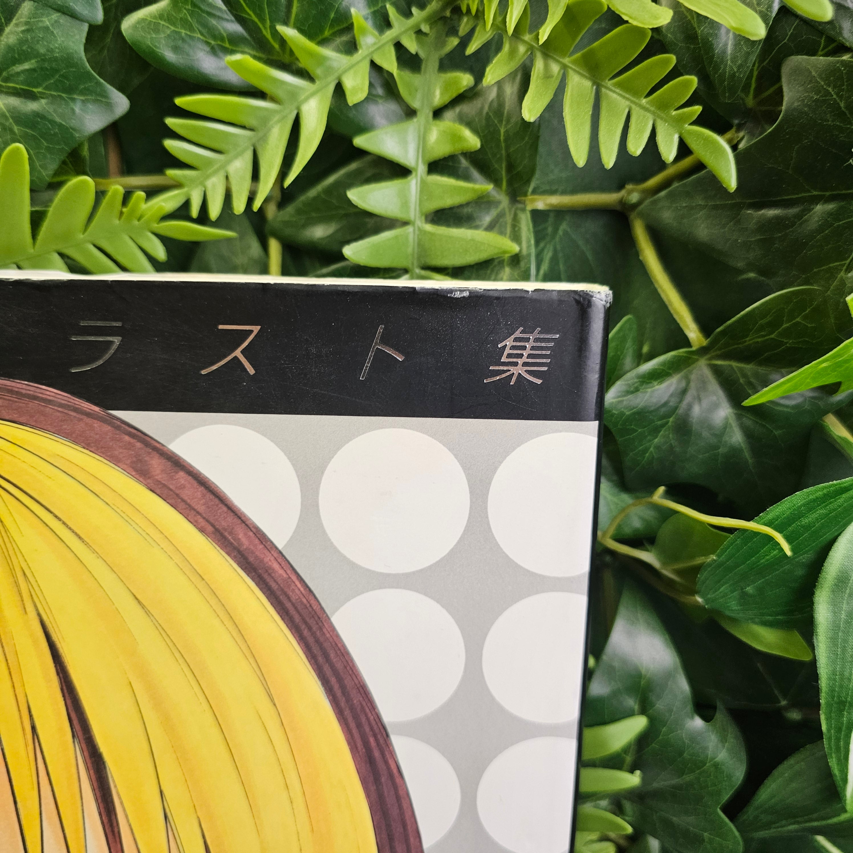 Hikaru no Go - Artbook (grand format)